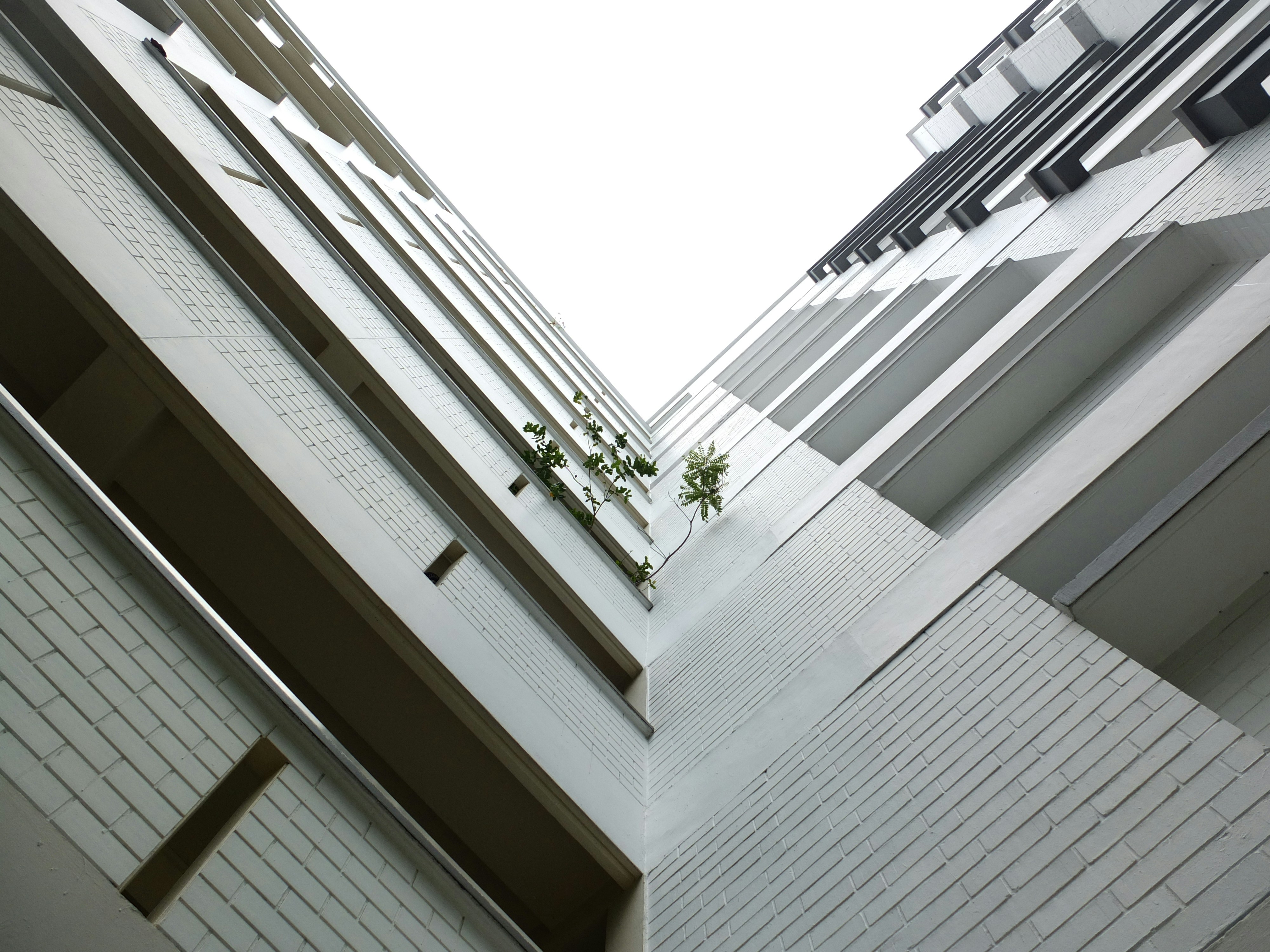 Free Unsplash photo from mohammad falky