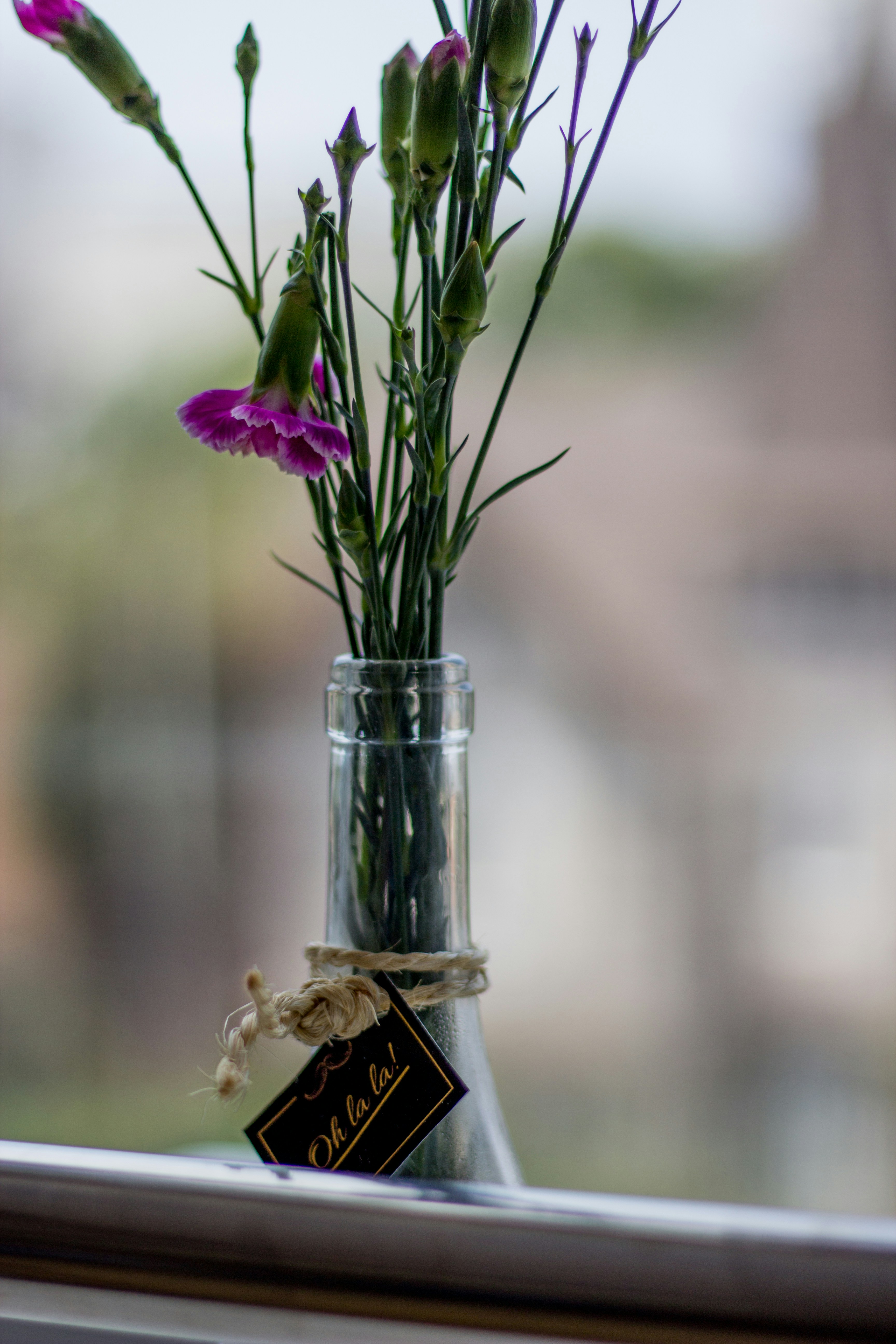 Glowcraft Herbal Serum