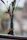 Close-up of a filocia intimate wash bottle with fresh flowers in the background
