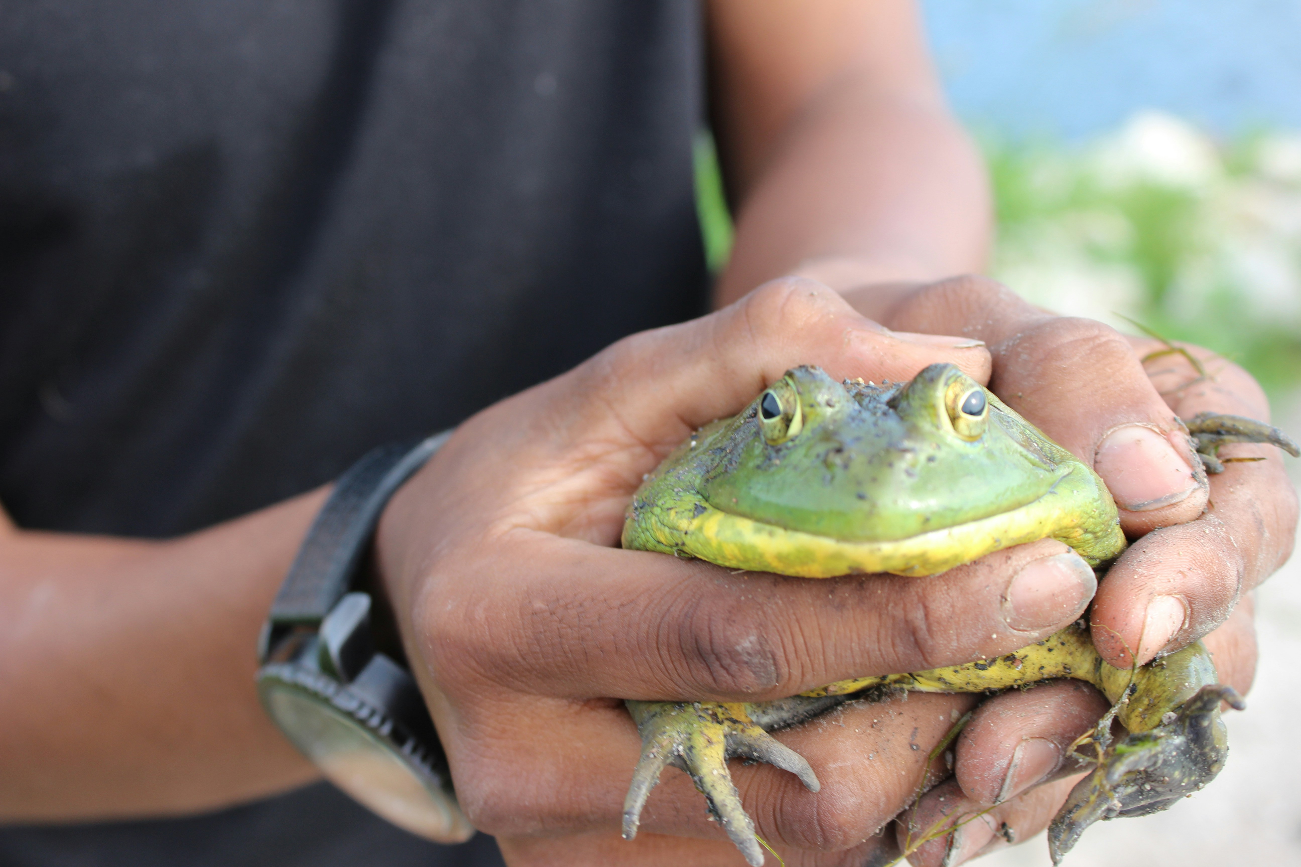 Free Unsplash photo from Brian Sandoval