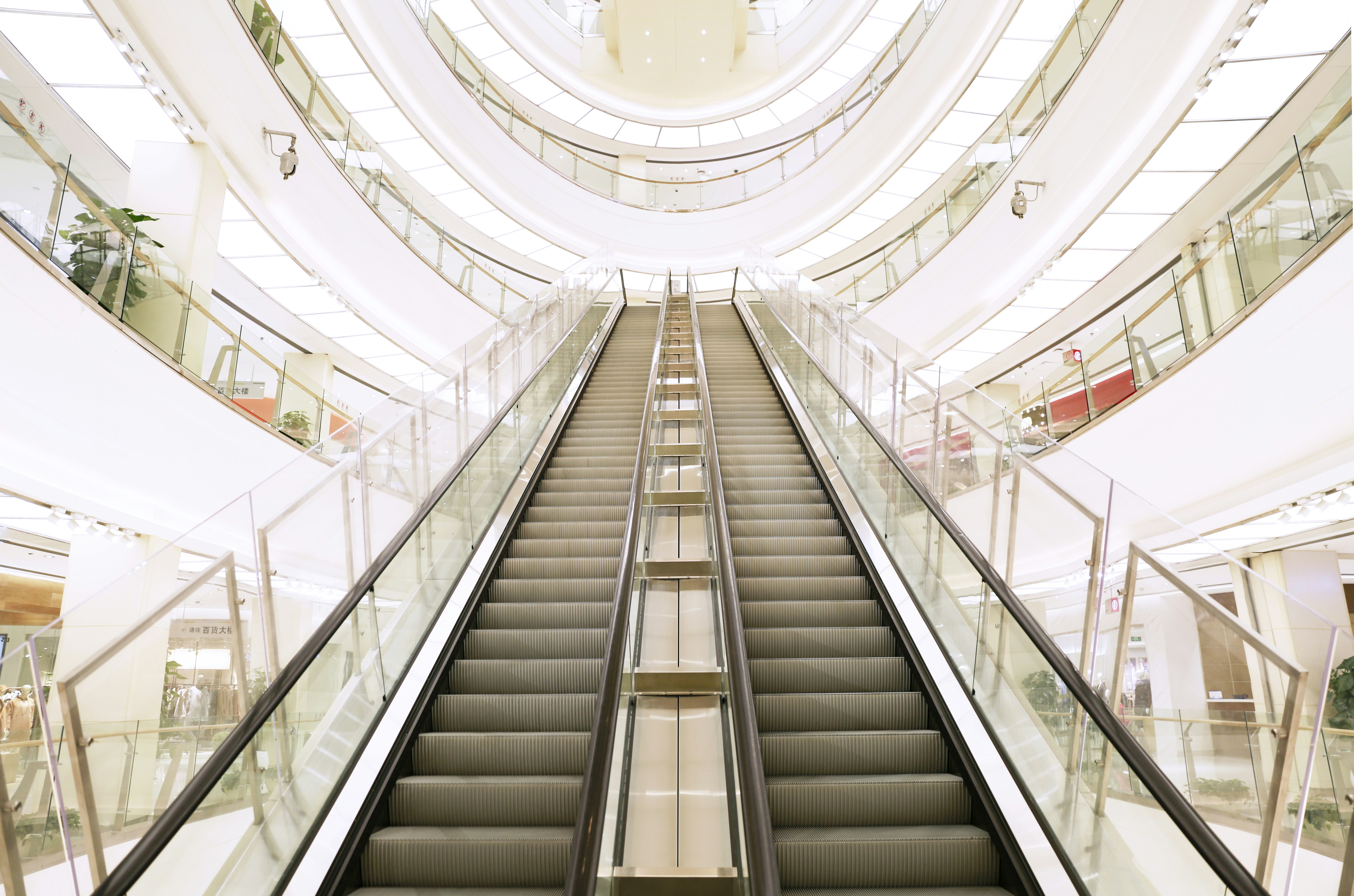 Free Unsplash photo from 松虎 林