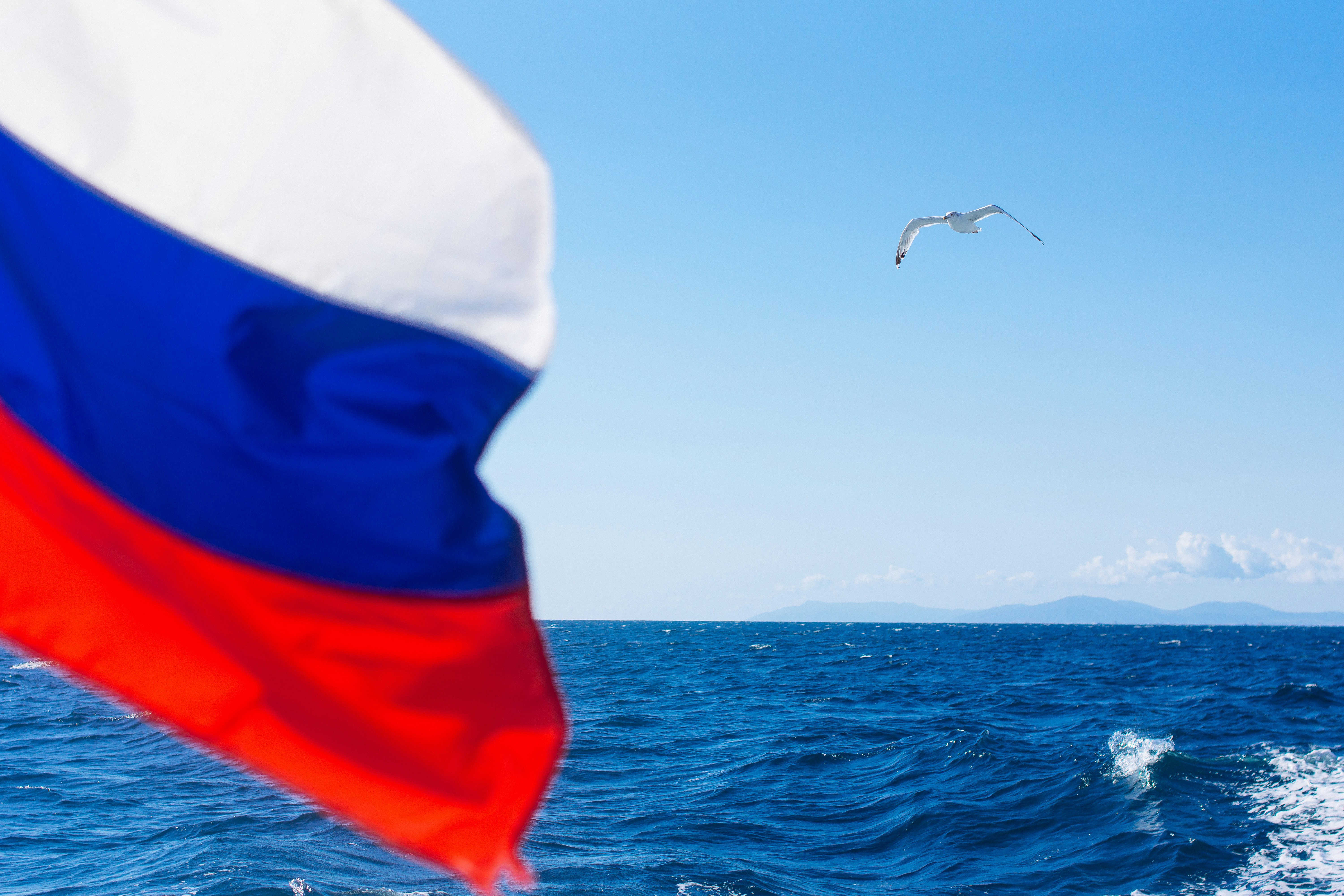 Free Unsplash photo from Pavel Badrtdinov