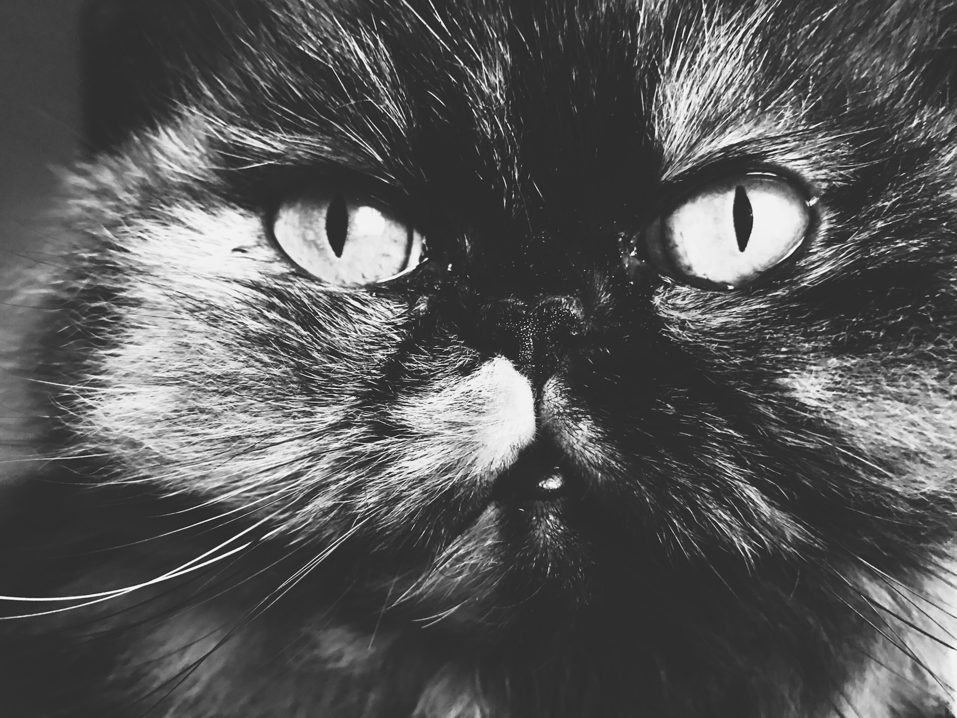 woman wearing yellow long-sleeved dress under white clouds and blue sky during daytime