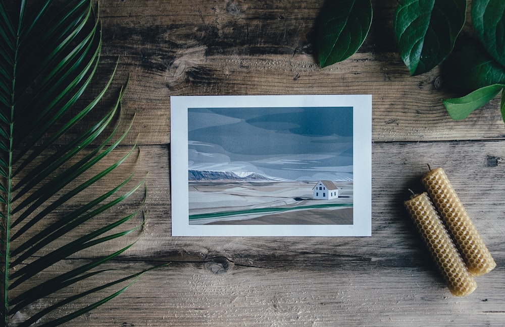 painting of house near field on top of wood