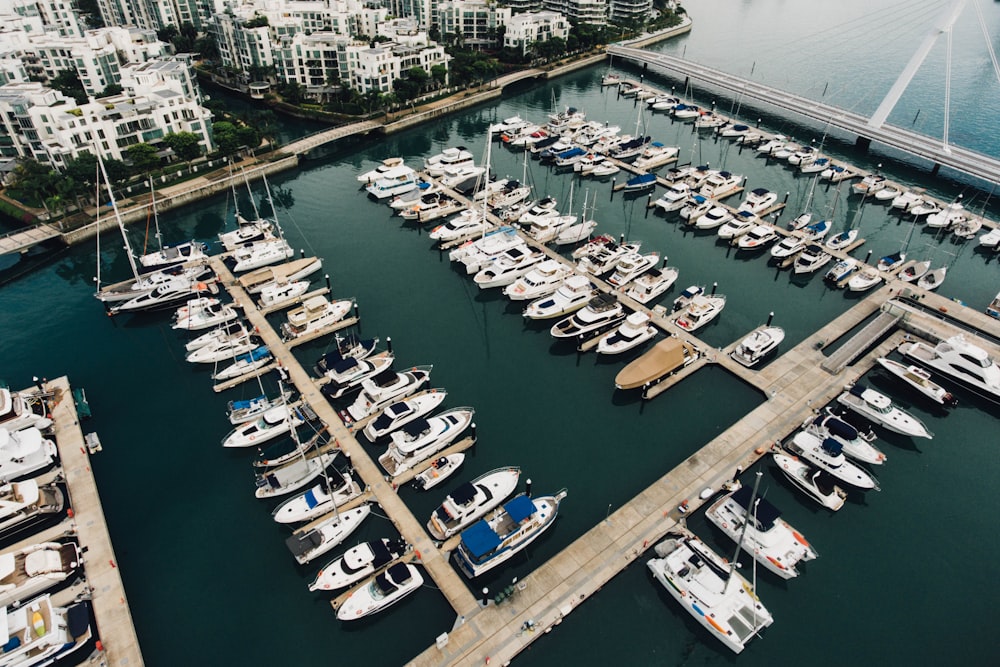 yachts on dock