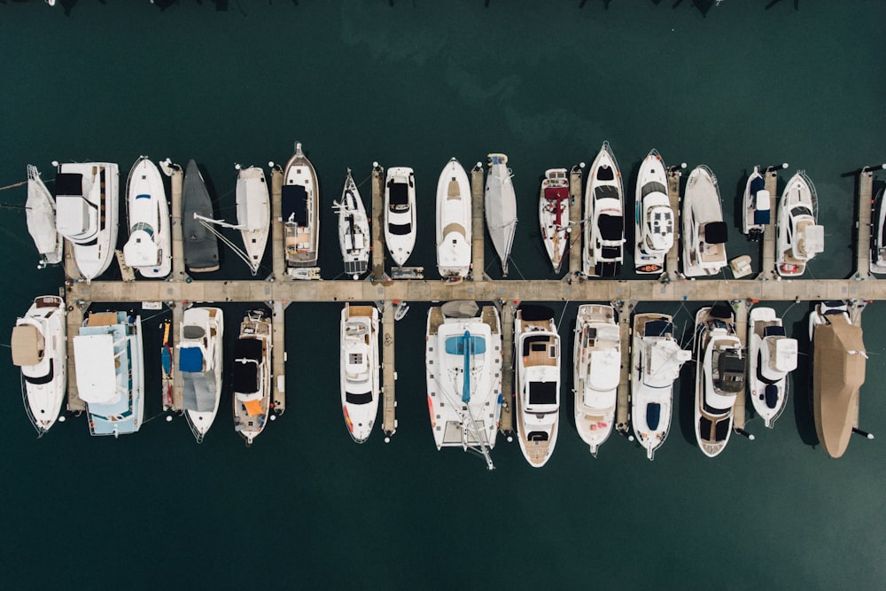aerial photography of boat