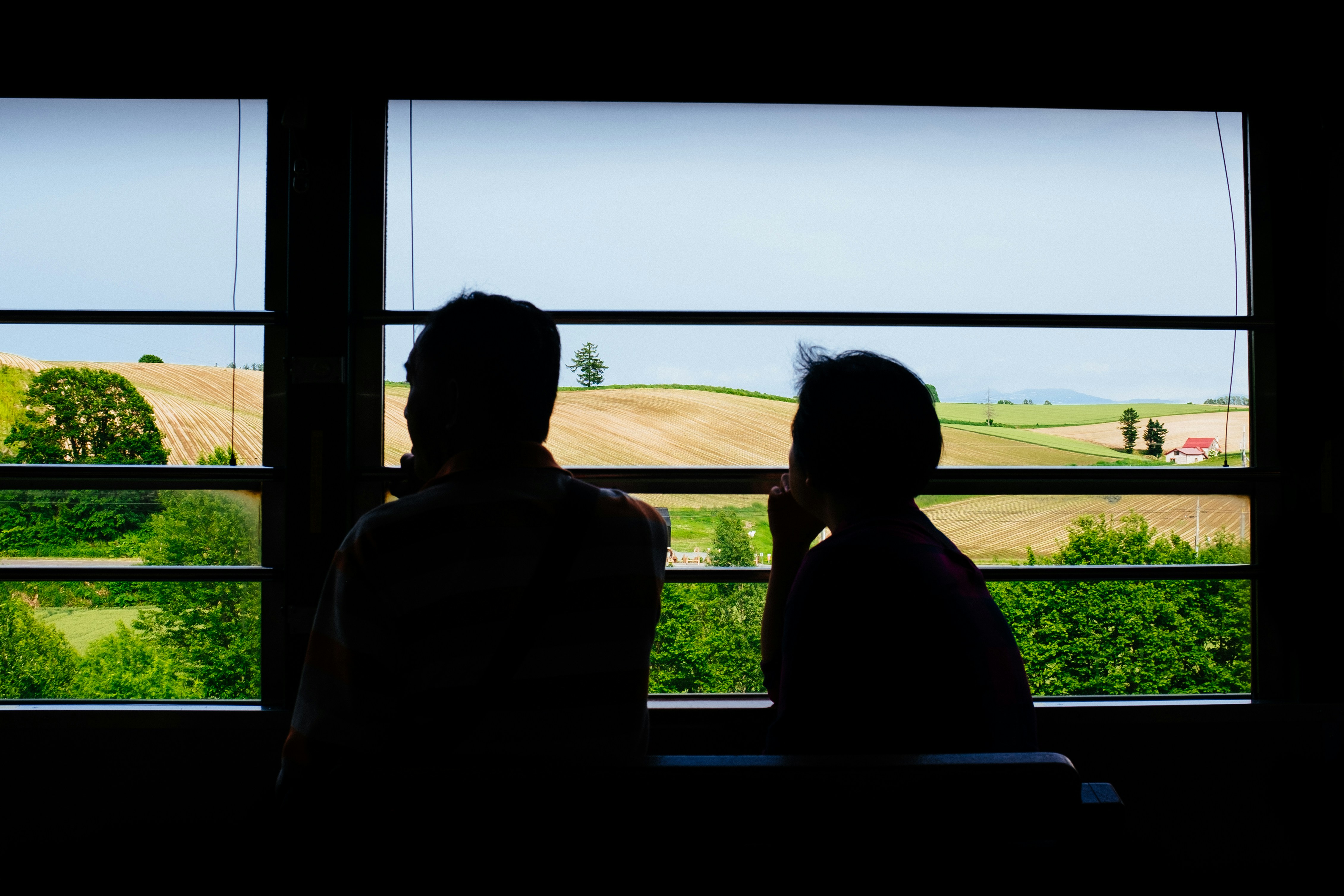 Free Unsplash photo from Brian Li