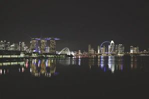 A night view of a city skyline powered by sustainable energy sources