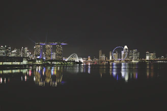 A night view of a city skyline powered by sustainable energy sources