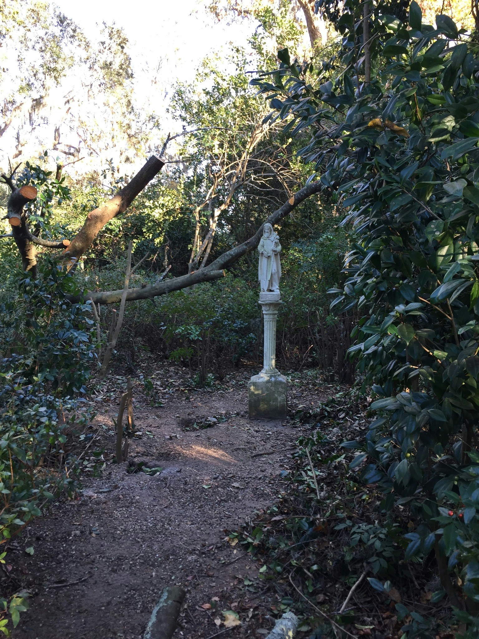 Free Unsplash photo from Steve Smith