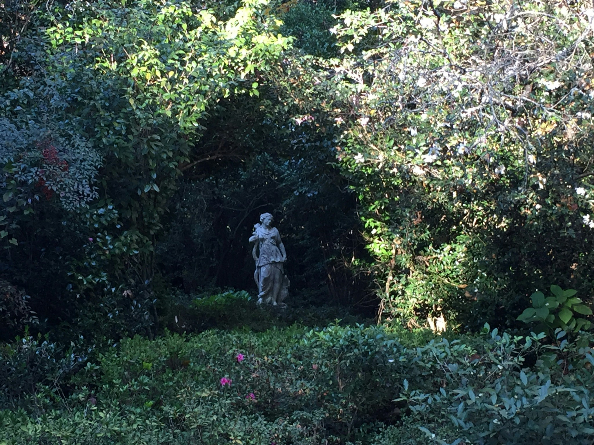 Free Unsplash photo from Steve Smith