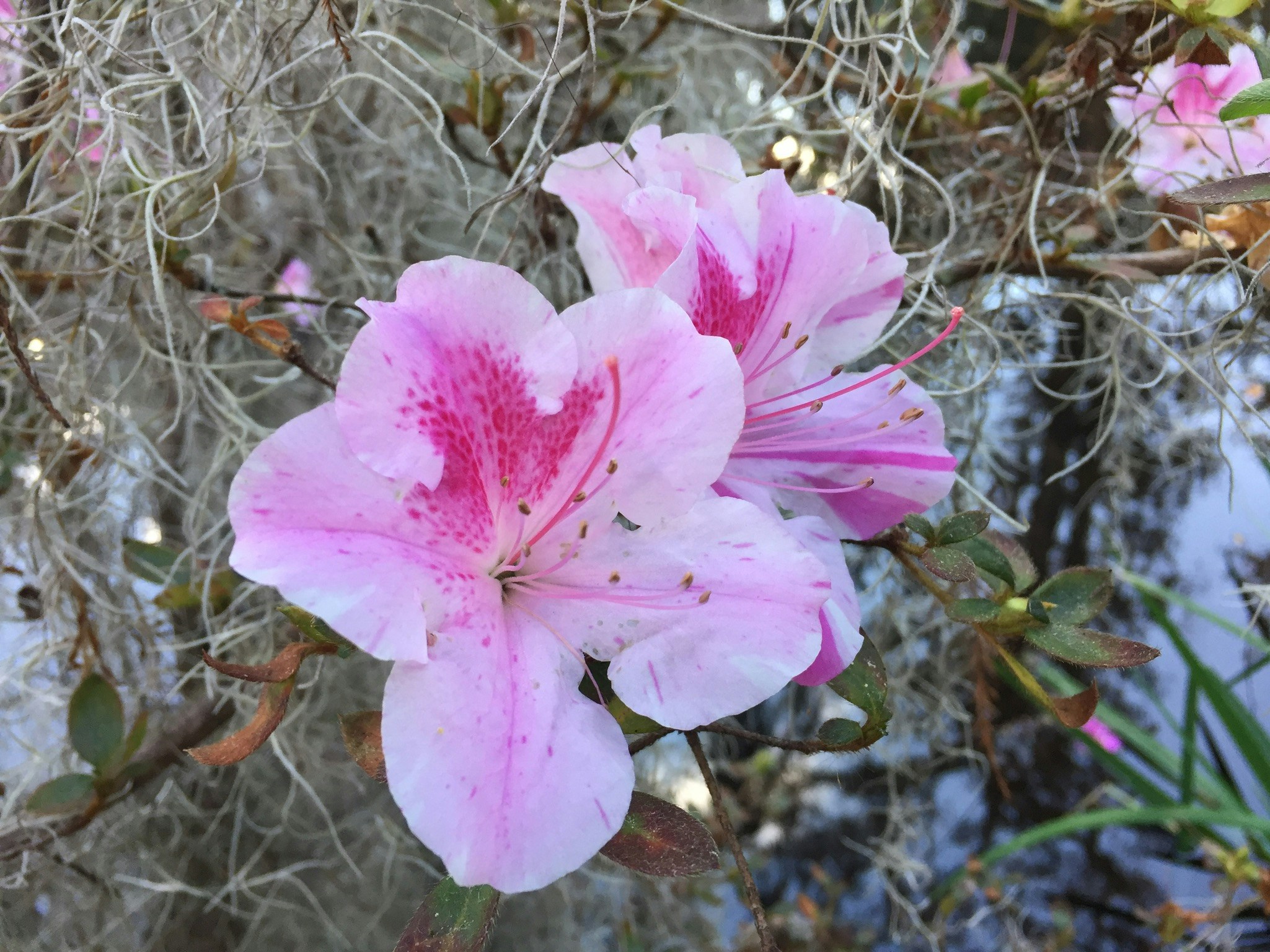 Free Unsplash photo from Steve Smith