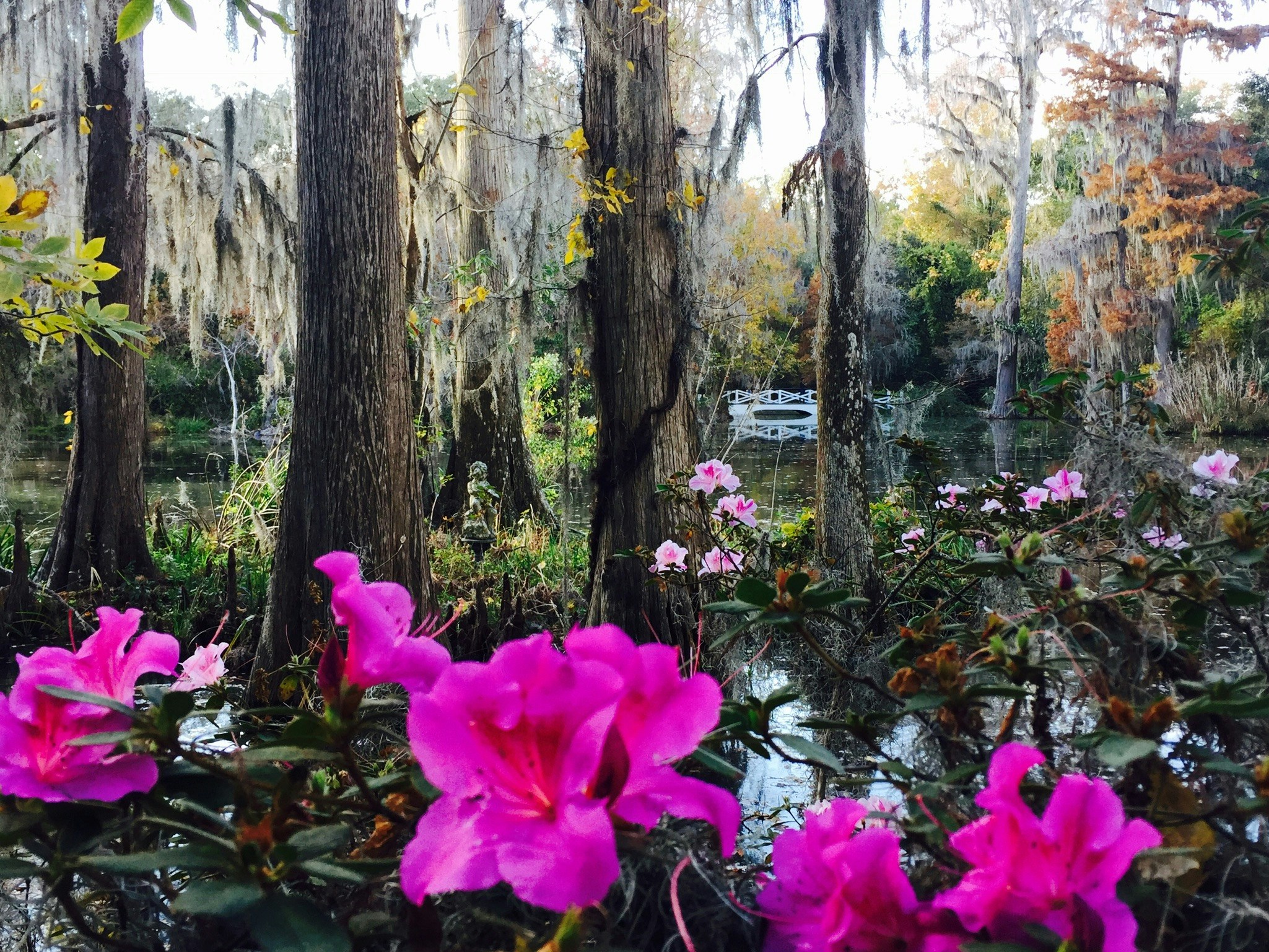 Free Unsplash photo from Steve Smith