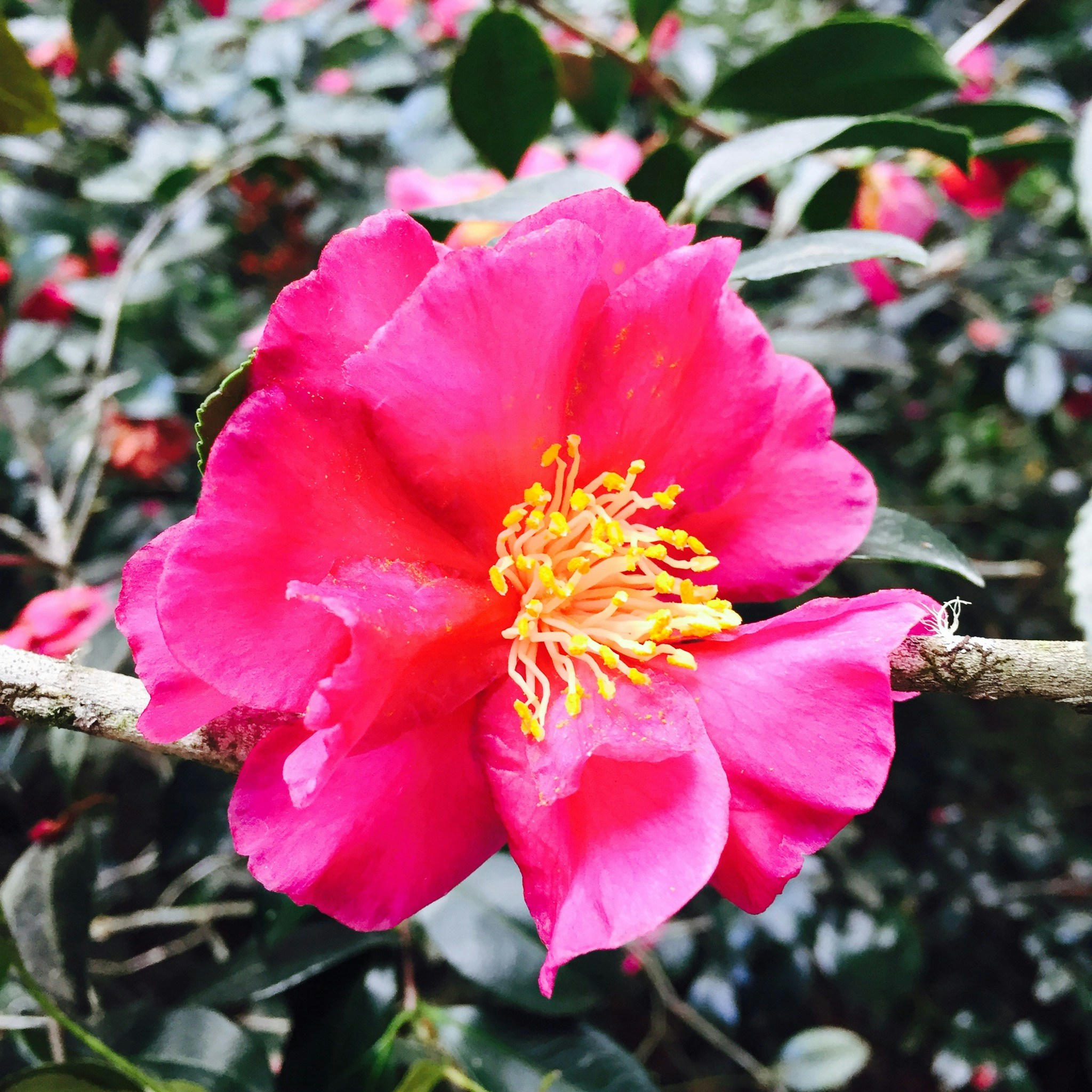 Free Unsplash photo from Steve Smith