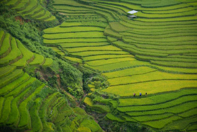 aerial photography of green mountain