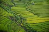 aerial photography of green mountain