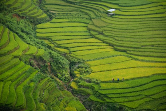 aerial photography of green mountain in Khau Phạ Pass Vietnam