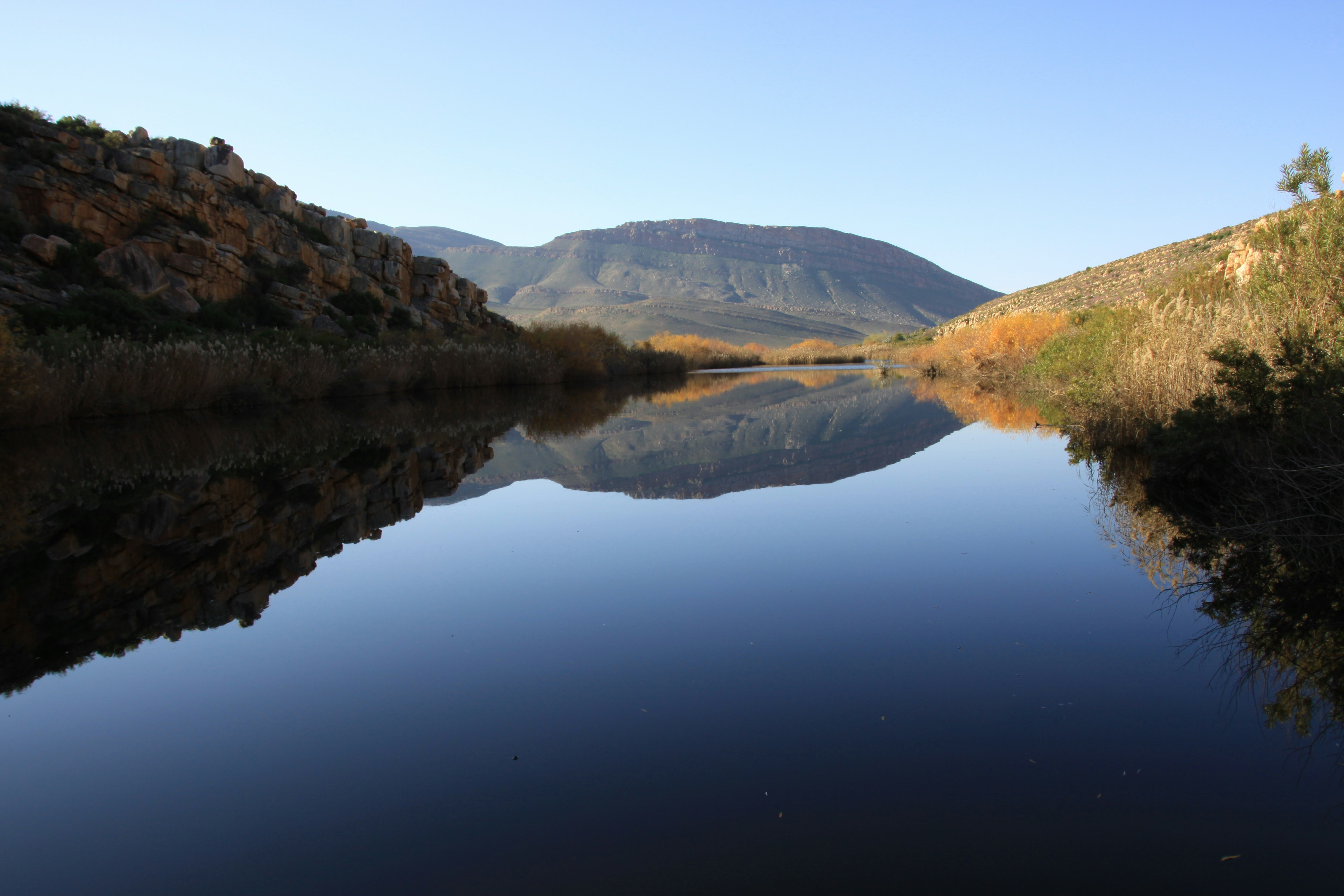 Free Unsplash photo from Andries du Bruyn