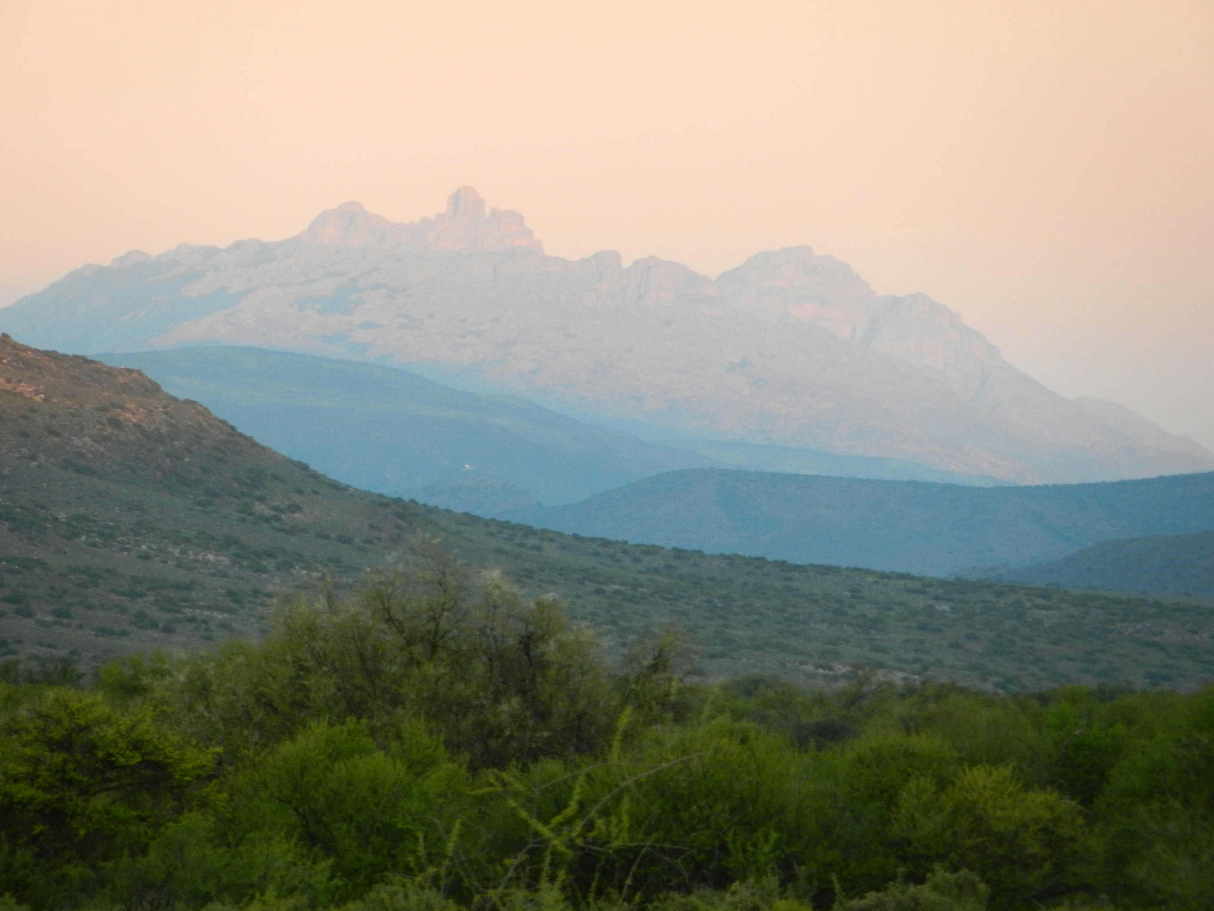 Free Unsplash photo from Andries du Bruyn