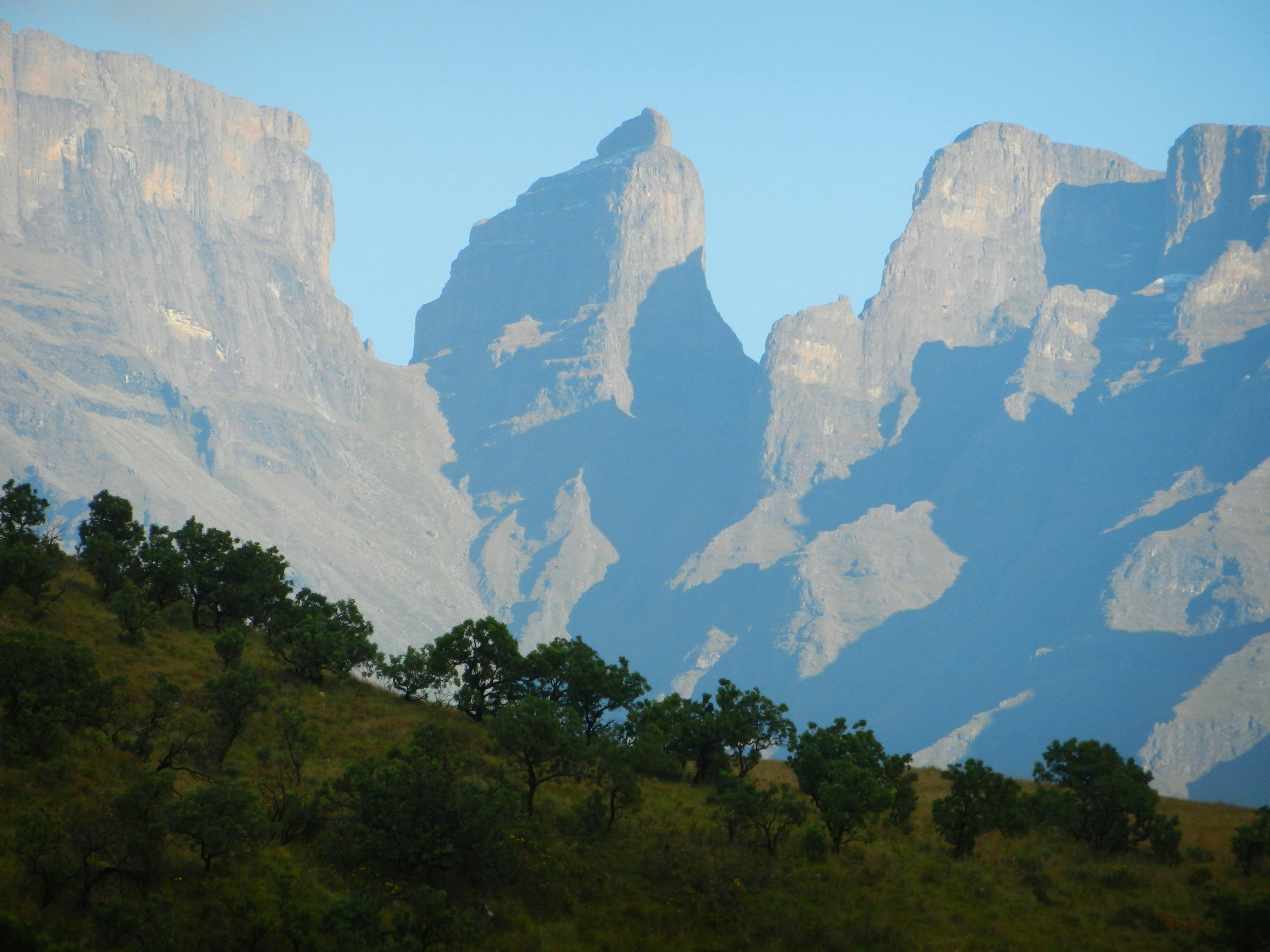 Free Unsplash photo from Andries du Bruyn