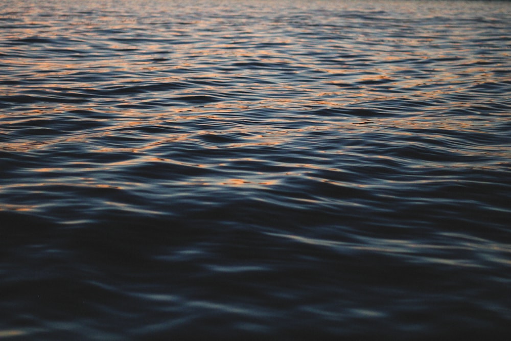 Fotografía del cuerpo de agua