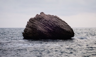 brown boulder on water