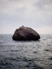 brown boulder on water