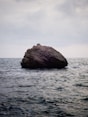 brown boulder on water