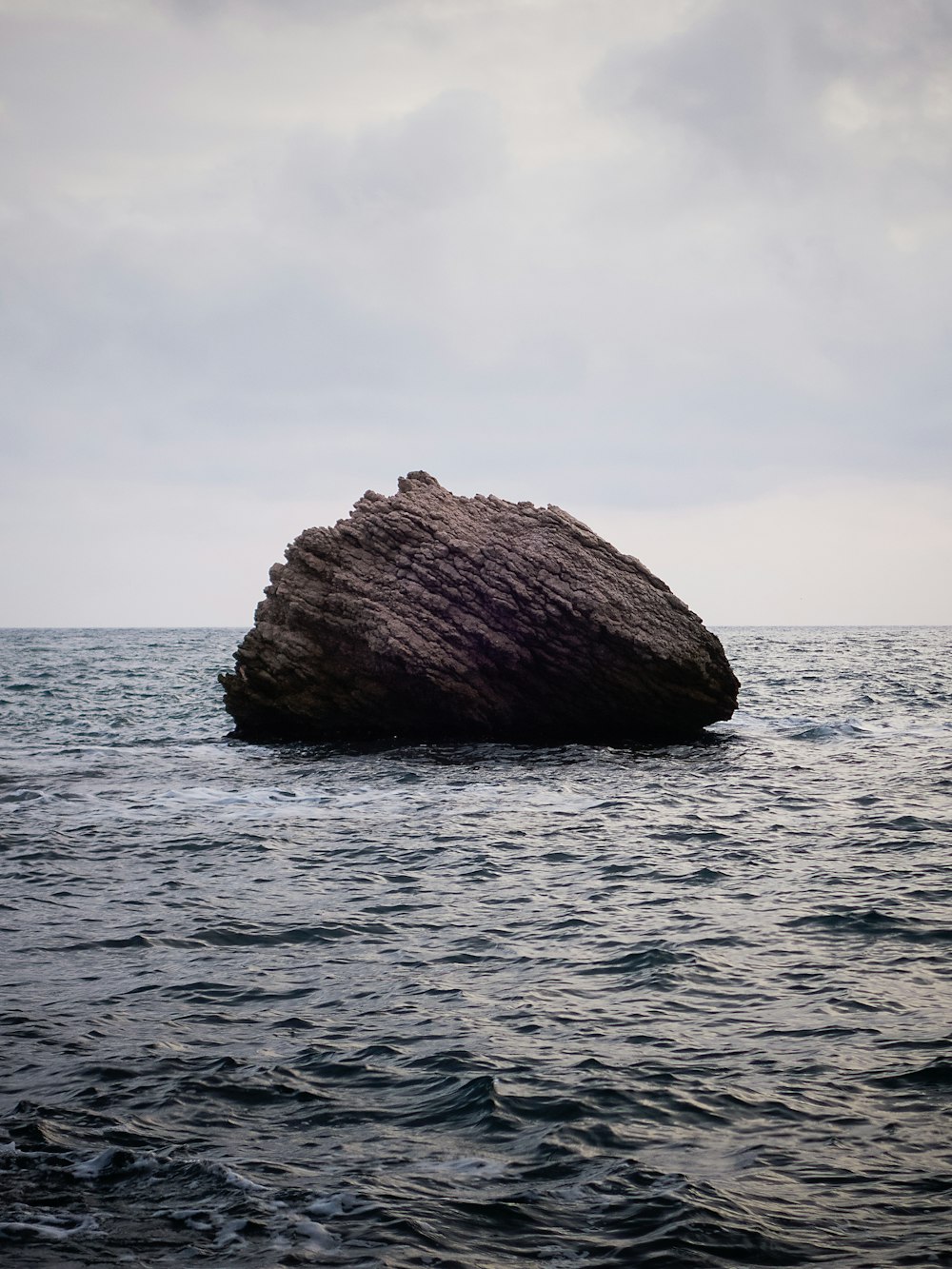 brown boulder on water