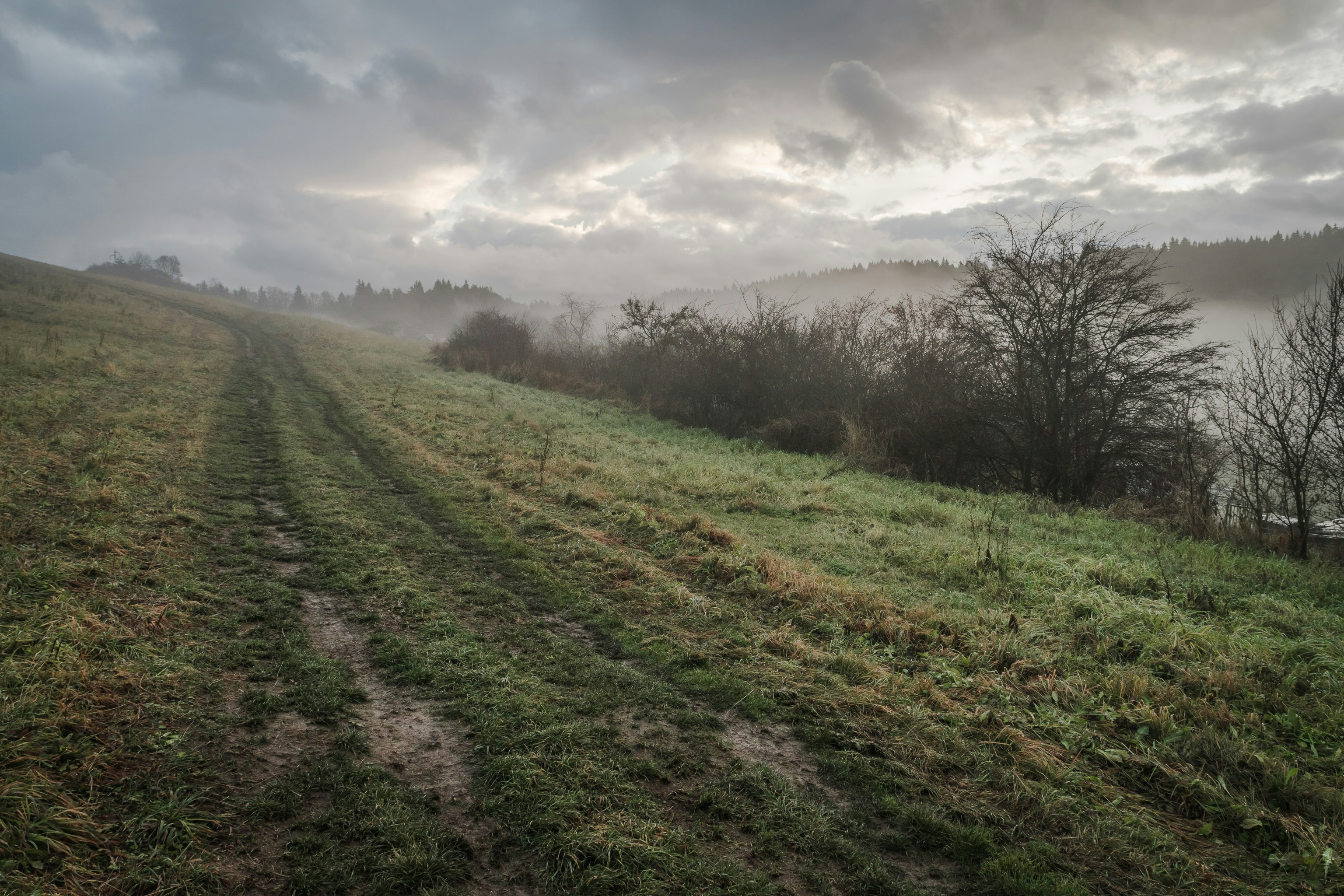 Free Unsplash photo from Ján Jakub Naništa