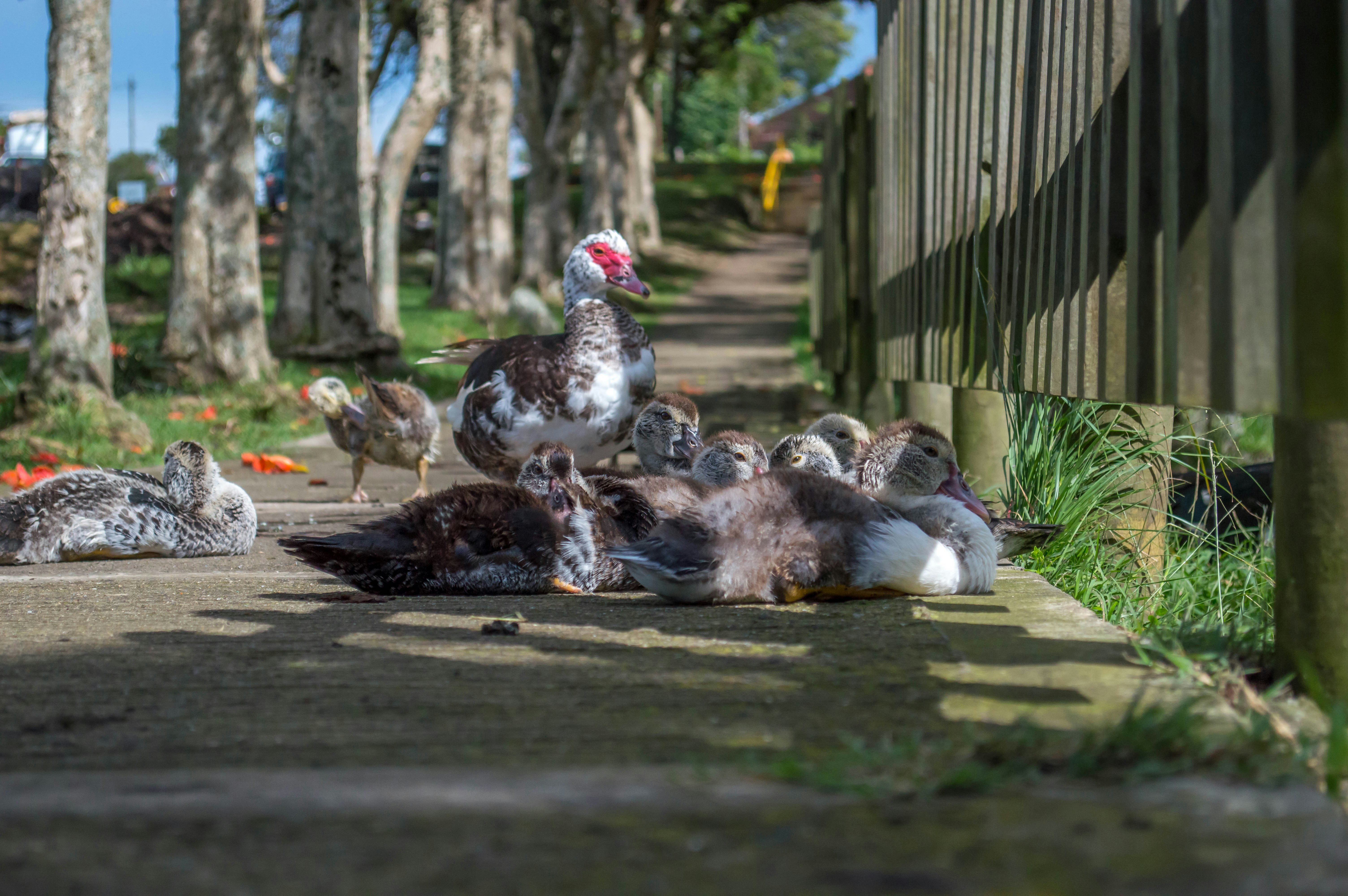 Free Unsplash photo from Faruq Ameer