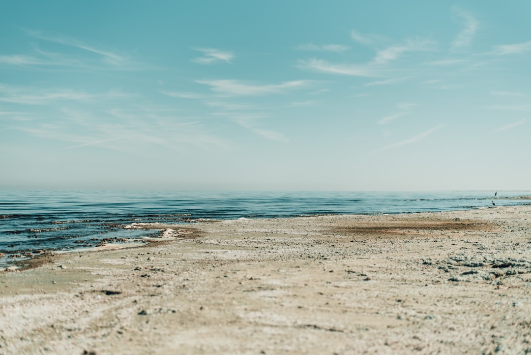 skyline photography of seashore