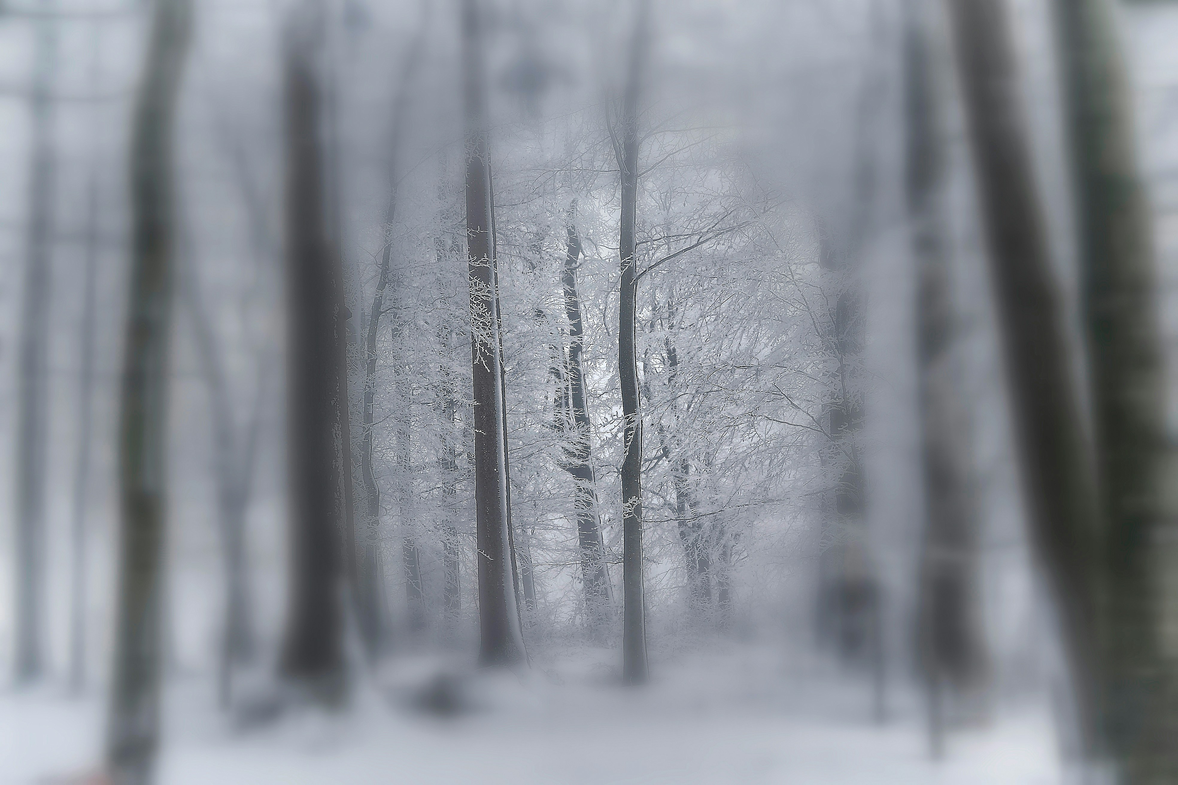 Photo by rgaleriacom