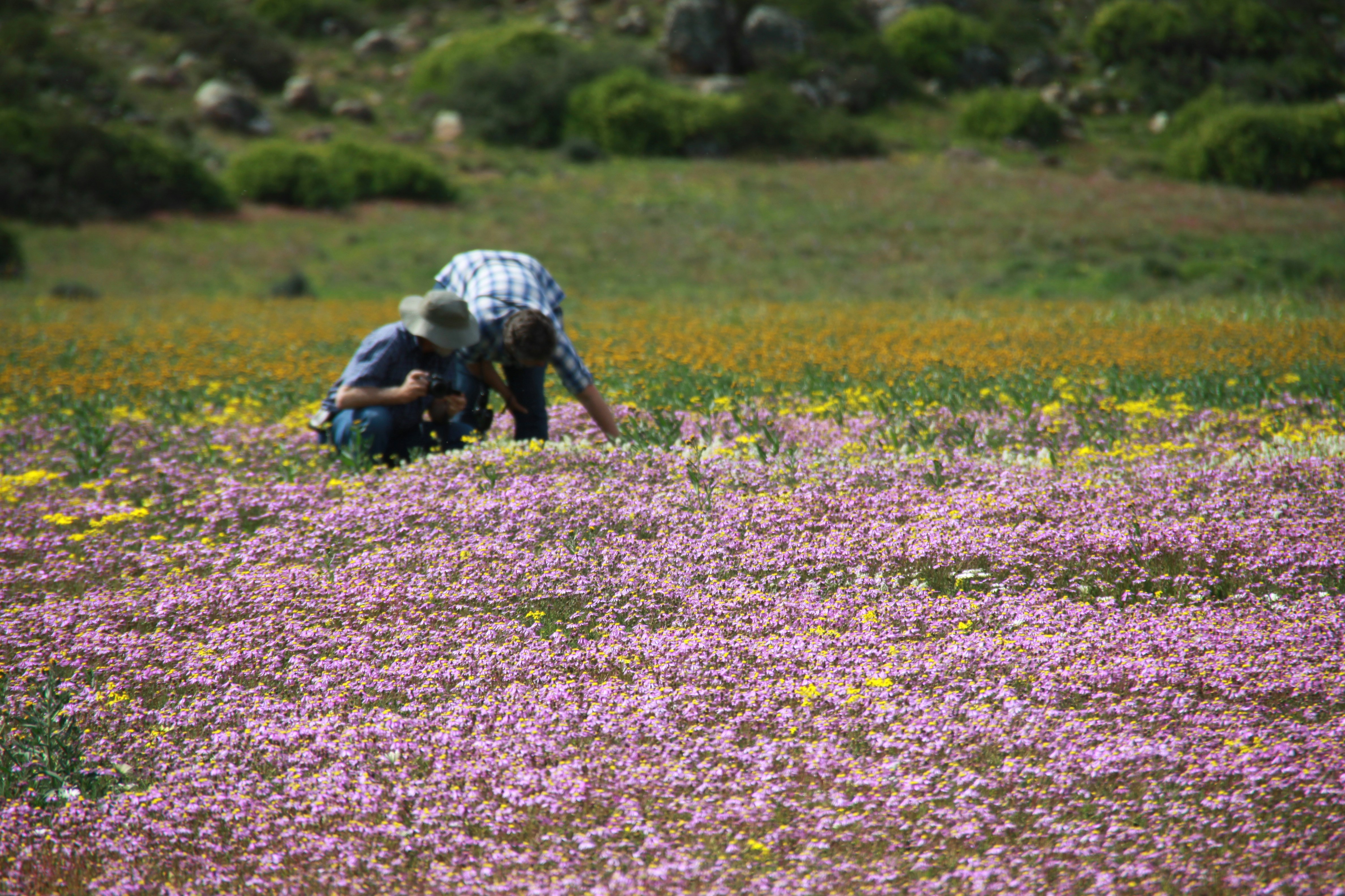 Free Unsplash photo from Andries du Bruyn