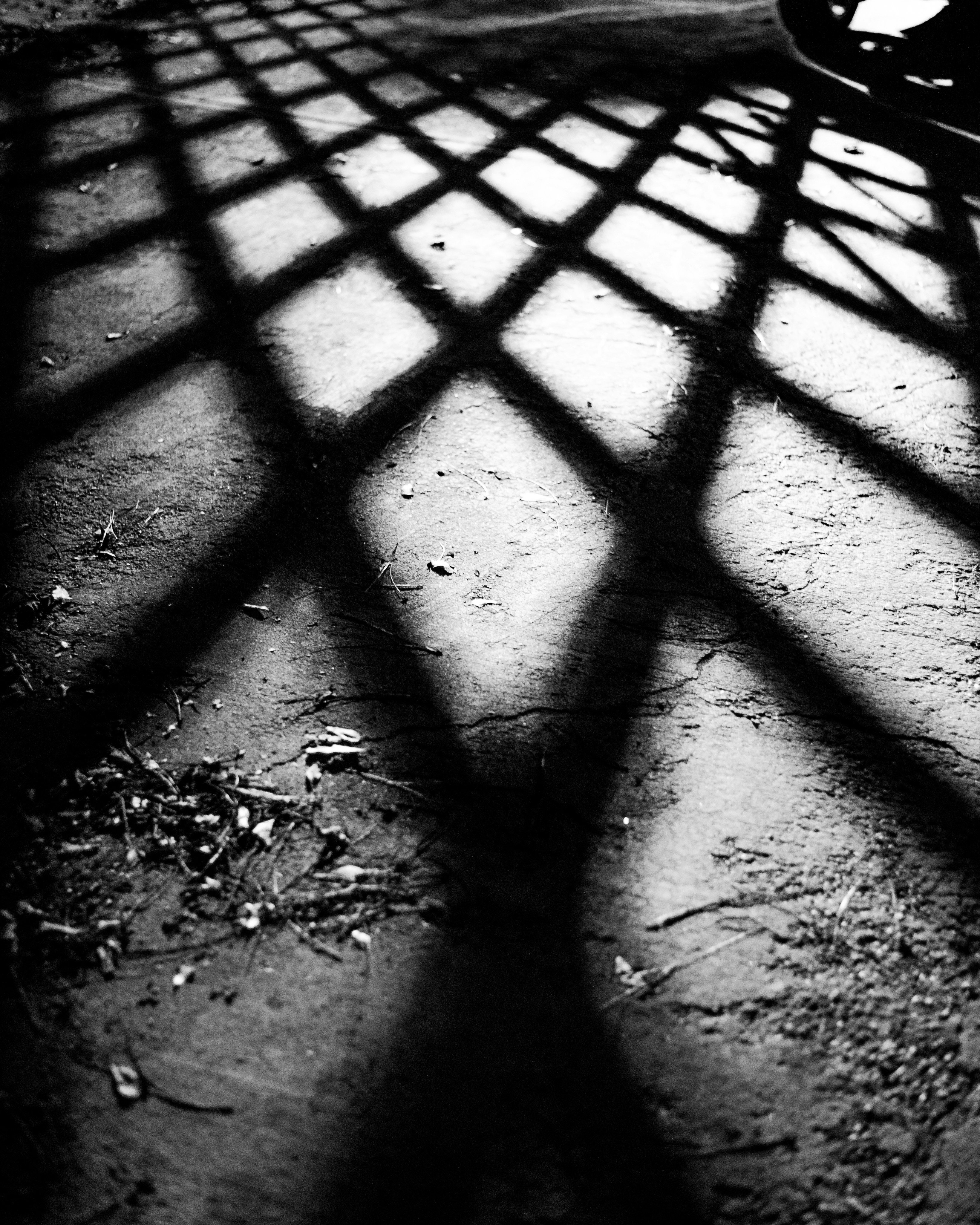 Free Unsplash photo from Colin Abbey