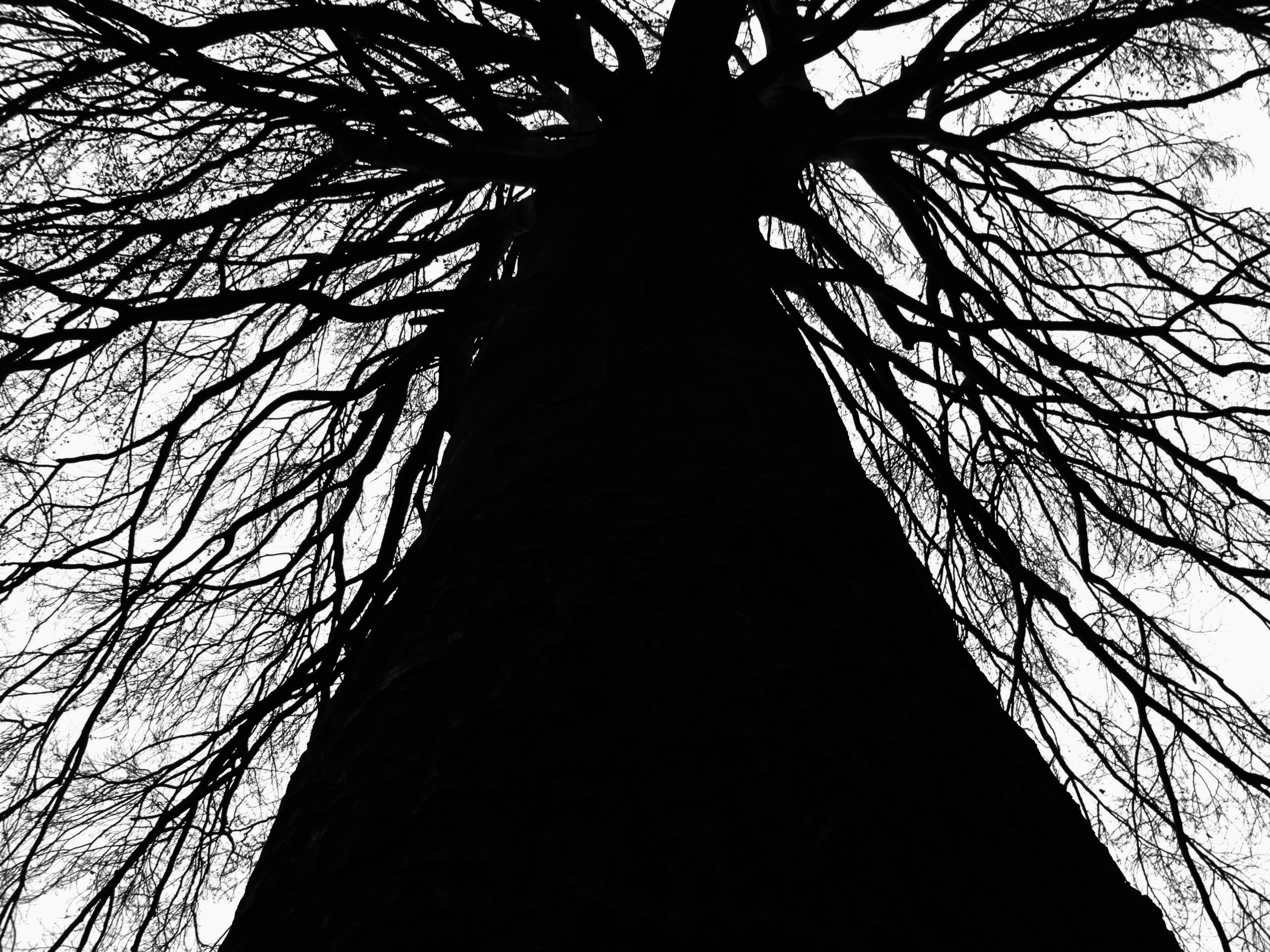 Free Unsplash photo from marco forno