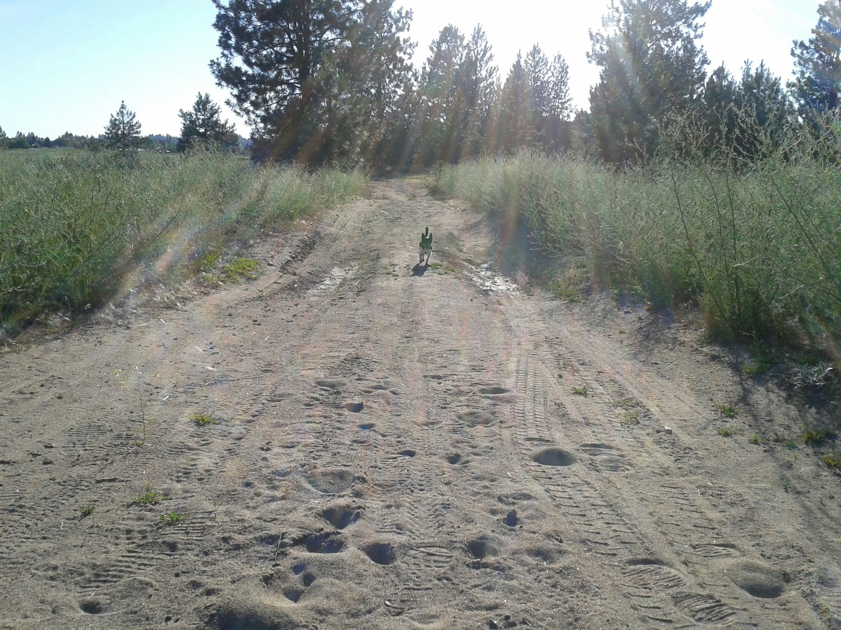 Free Unsplash photo from Sunny Cadwallader