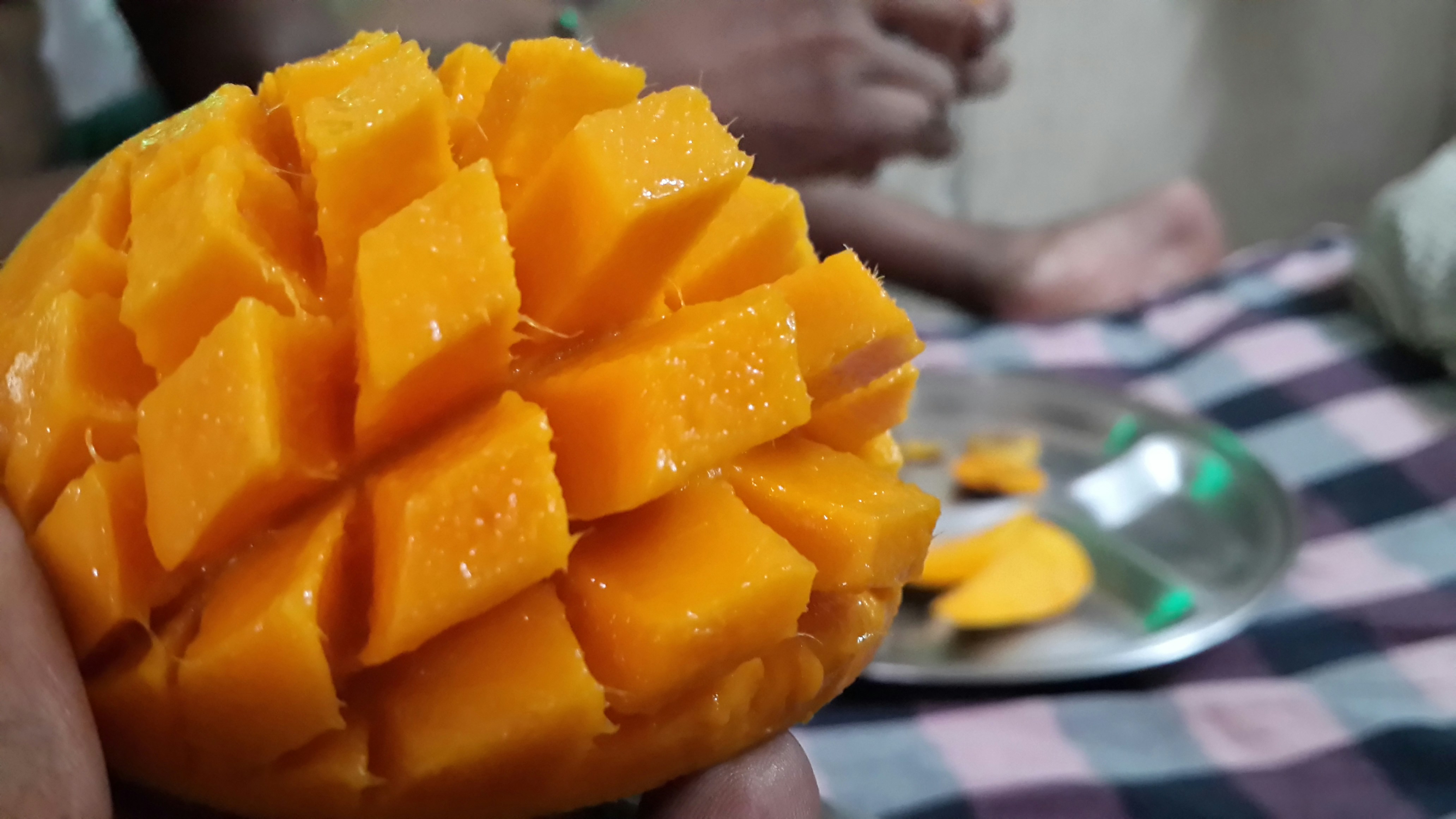 Two varieties of fresh-cut mango cubes in a divided eco box showing golden and orange hues