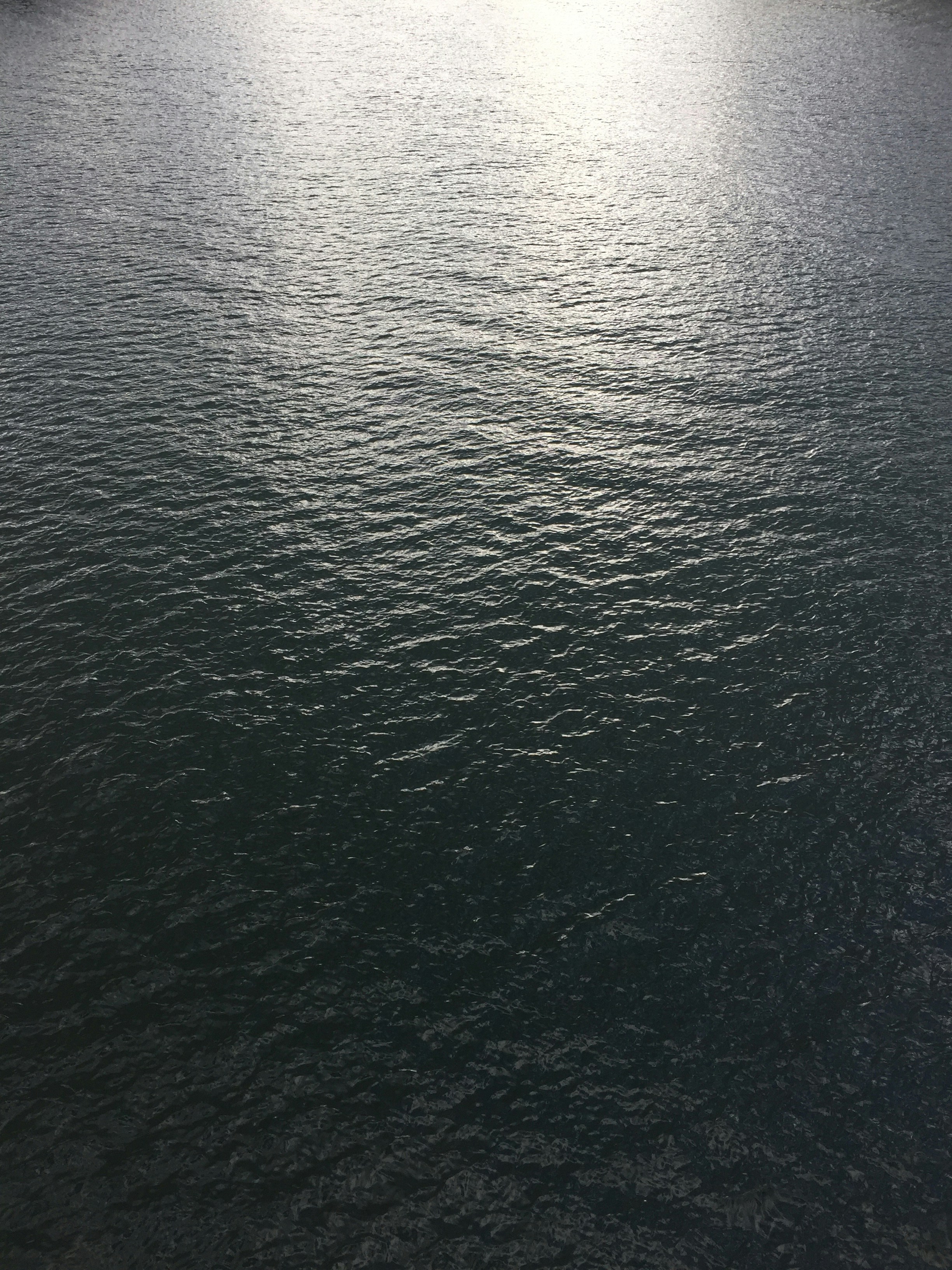 Free Unsplash photo from Maxime Gauvin