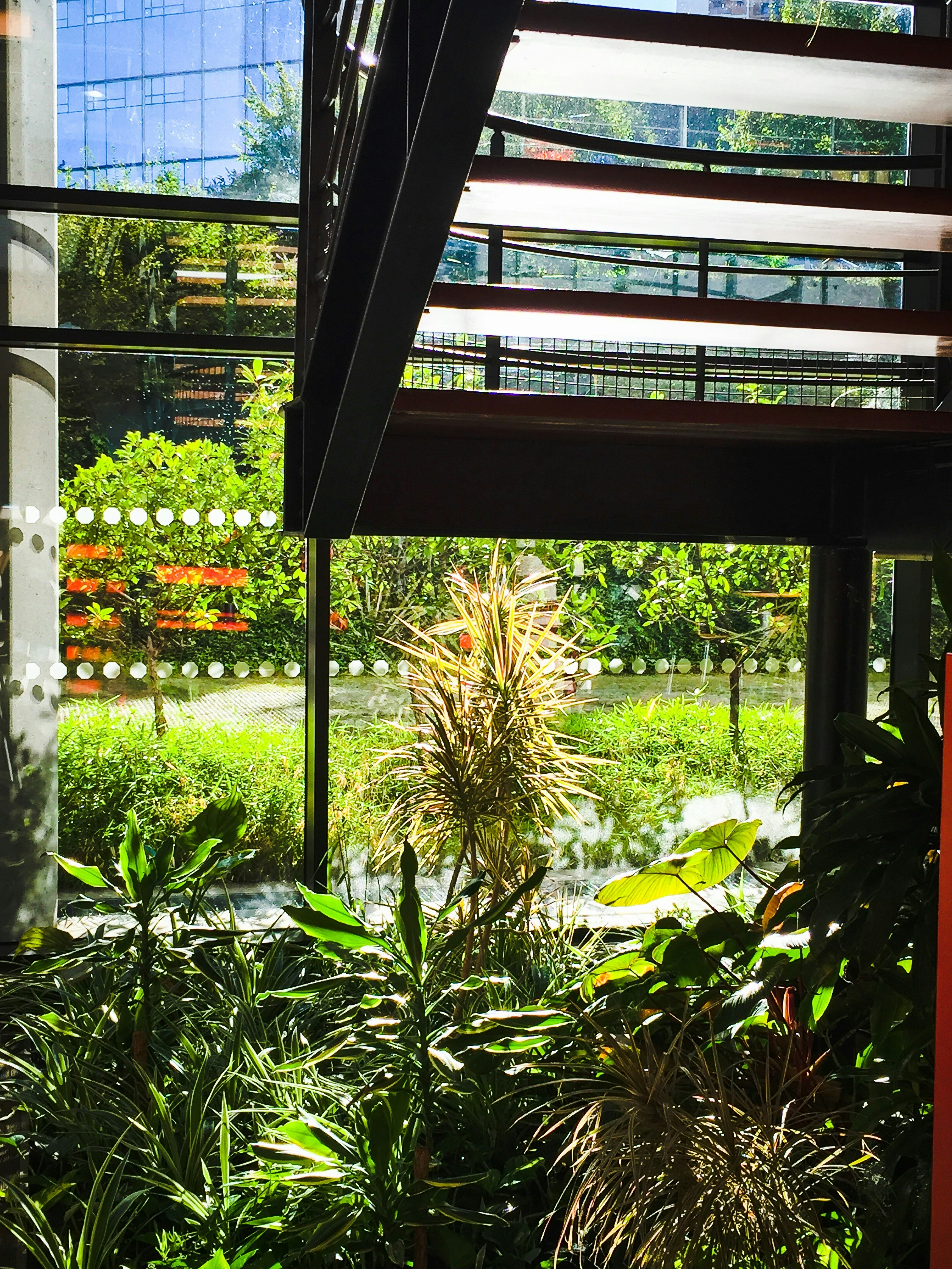 Free Unsplash photo from Maxime Gauvin