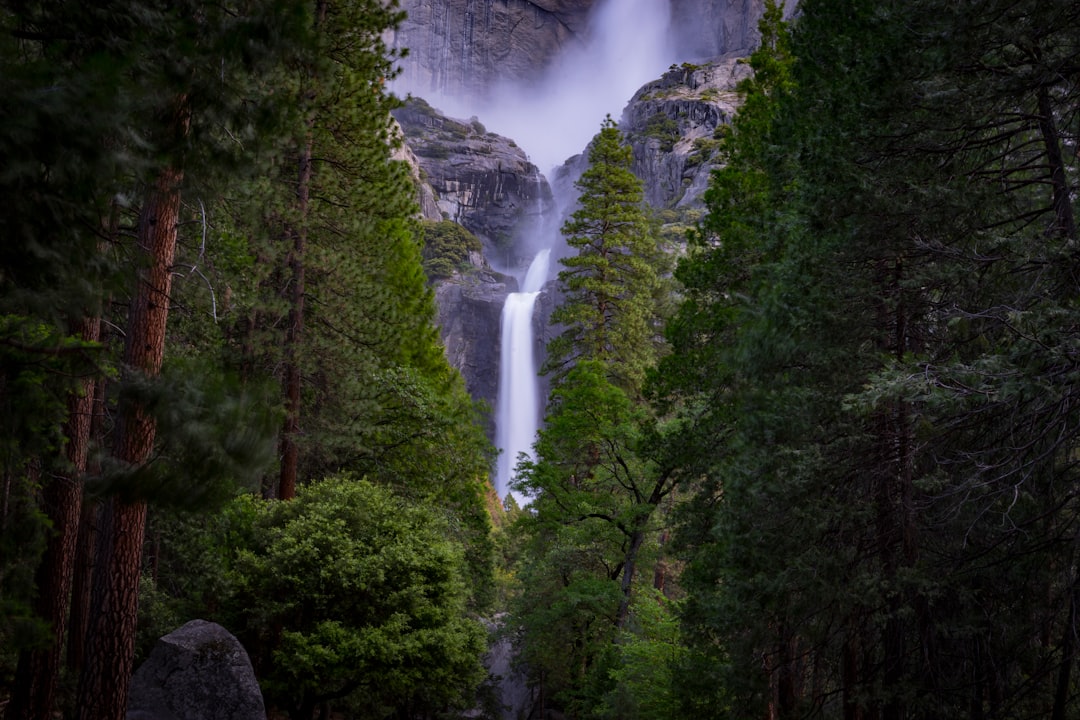 Waterfall photo spot Yosemite National Park United States