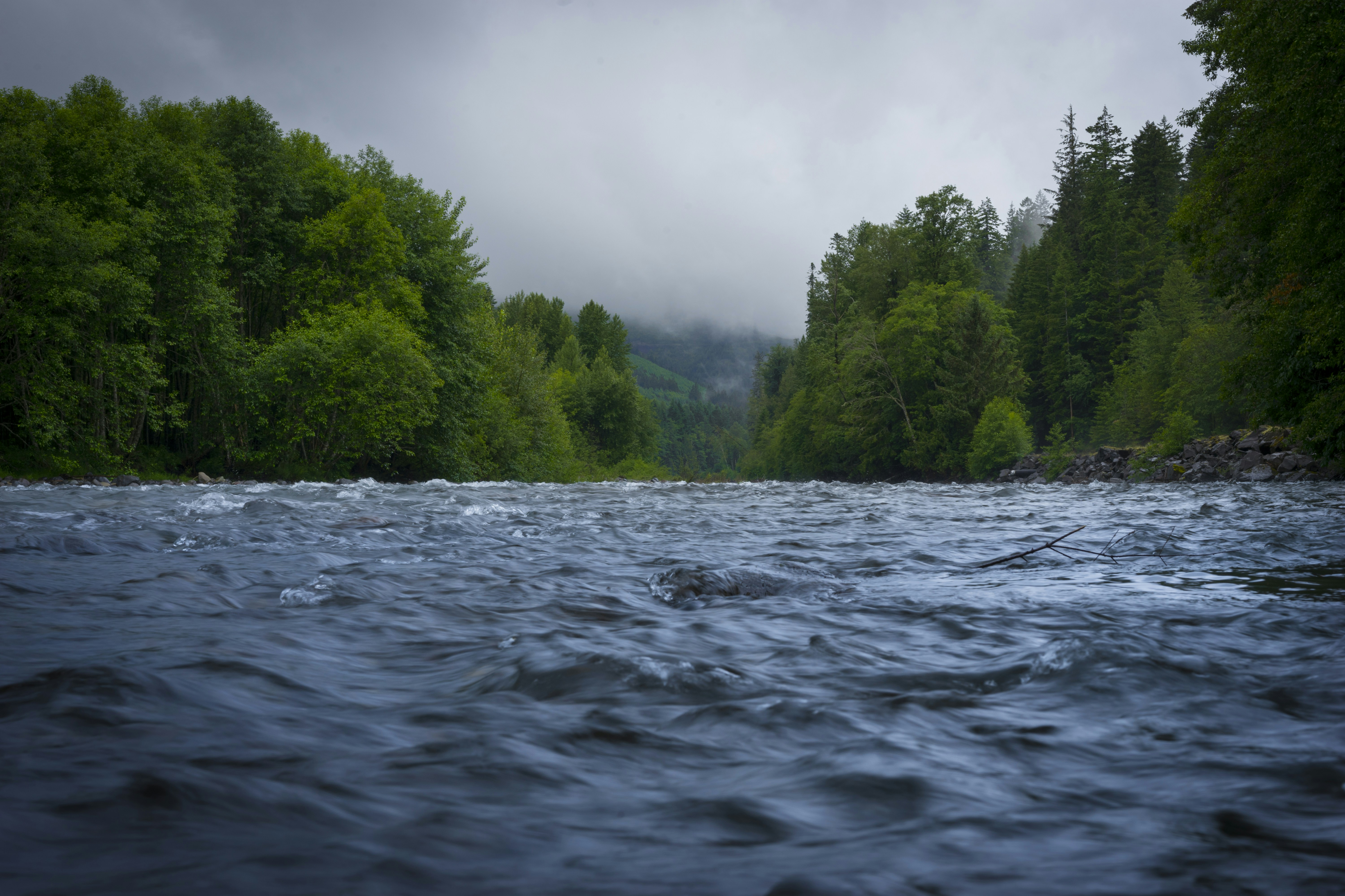 Free Unsplash photo from Perry Kibler