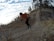 A person in an orange jacket and black pants is running uphill on a rocky trail surrounded by a natural landscape with sparse trees. The sky is partially cloudy and the terrain appears rugged with some dry grass and small bushes.