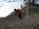 A person in an orange jacket and black pants is running uphill on a rocky trail surrounded by a natural landscape with sparse trees. The sky is partially cloudy and the terrain appears rugged with some dry grass and small bushes.