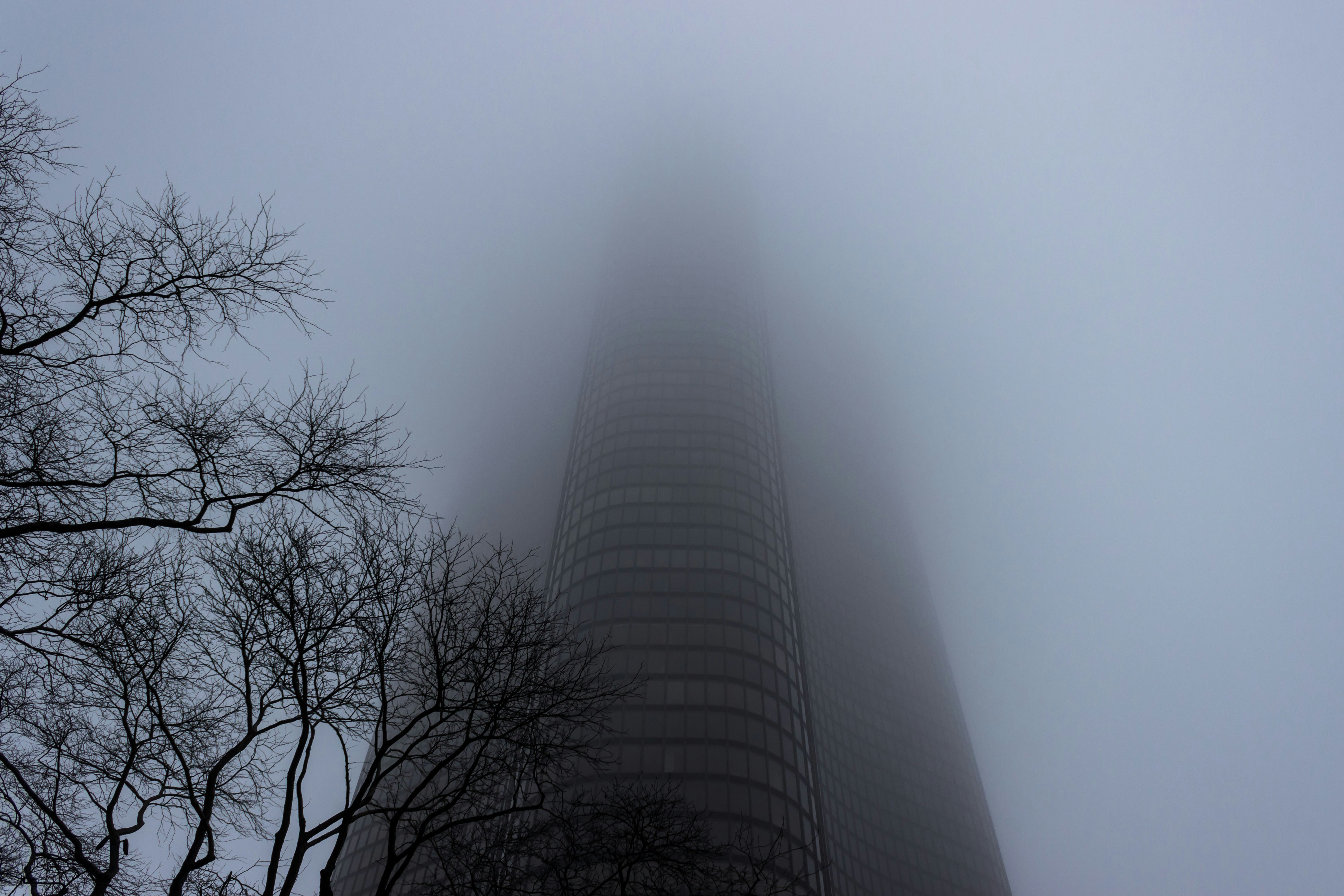 Free Unsplash photo from Collin Jevne