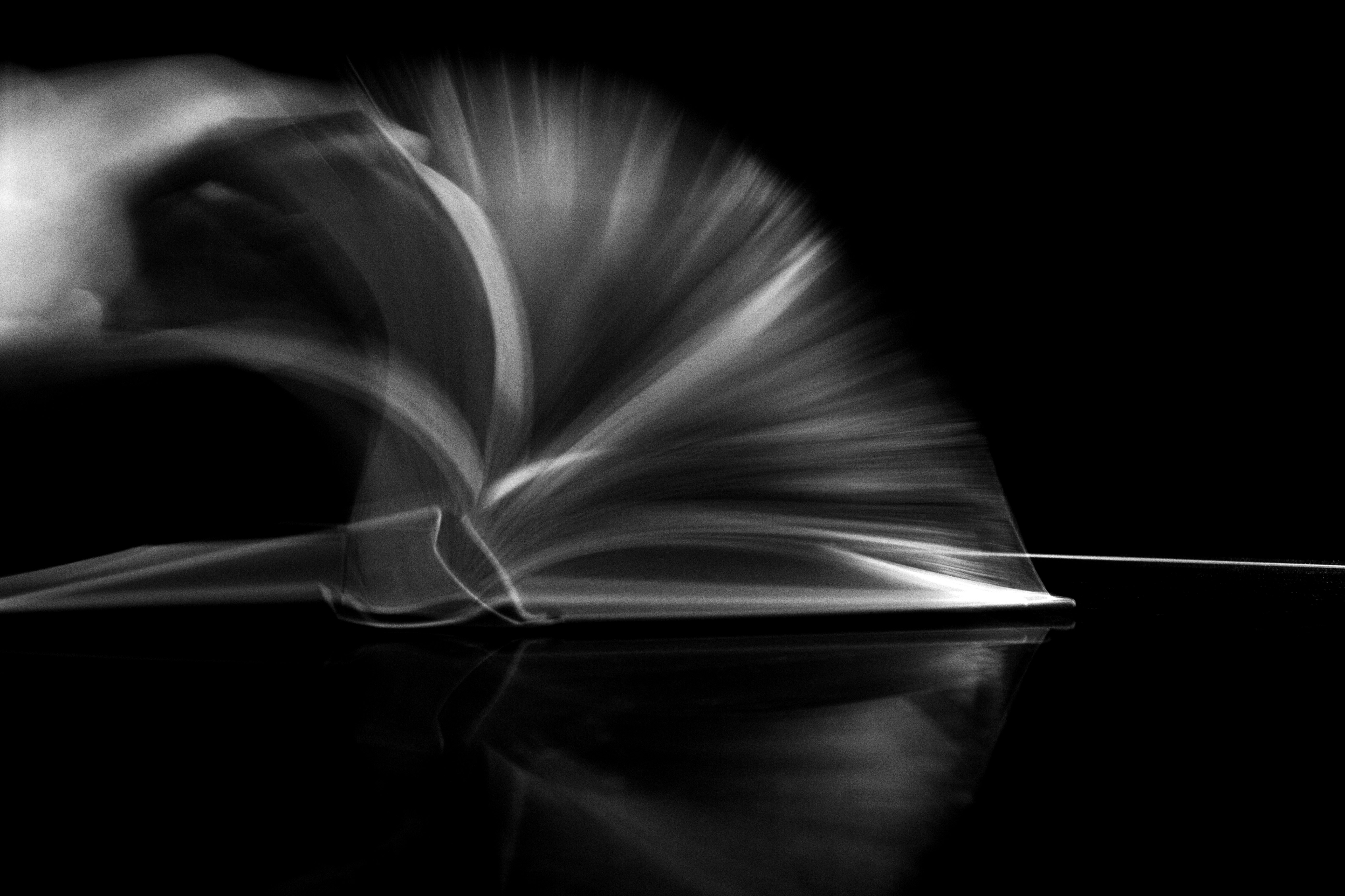 Free Unsplash photo from Giulia Navarra