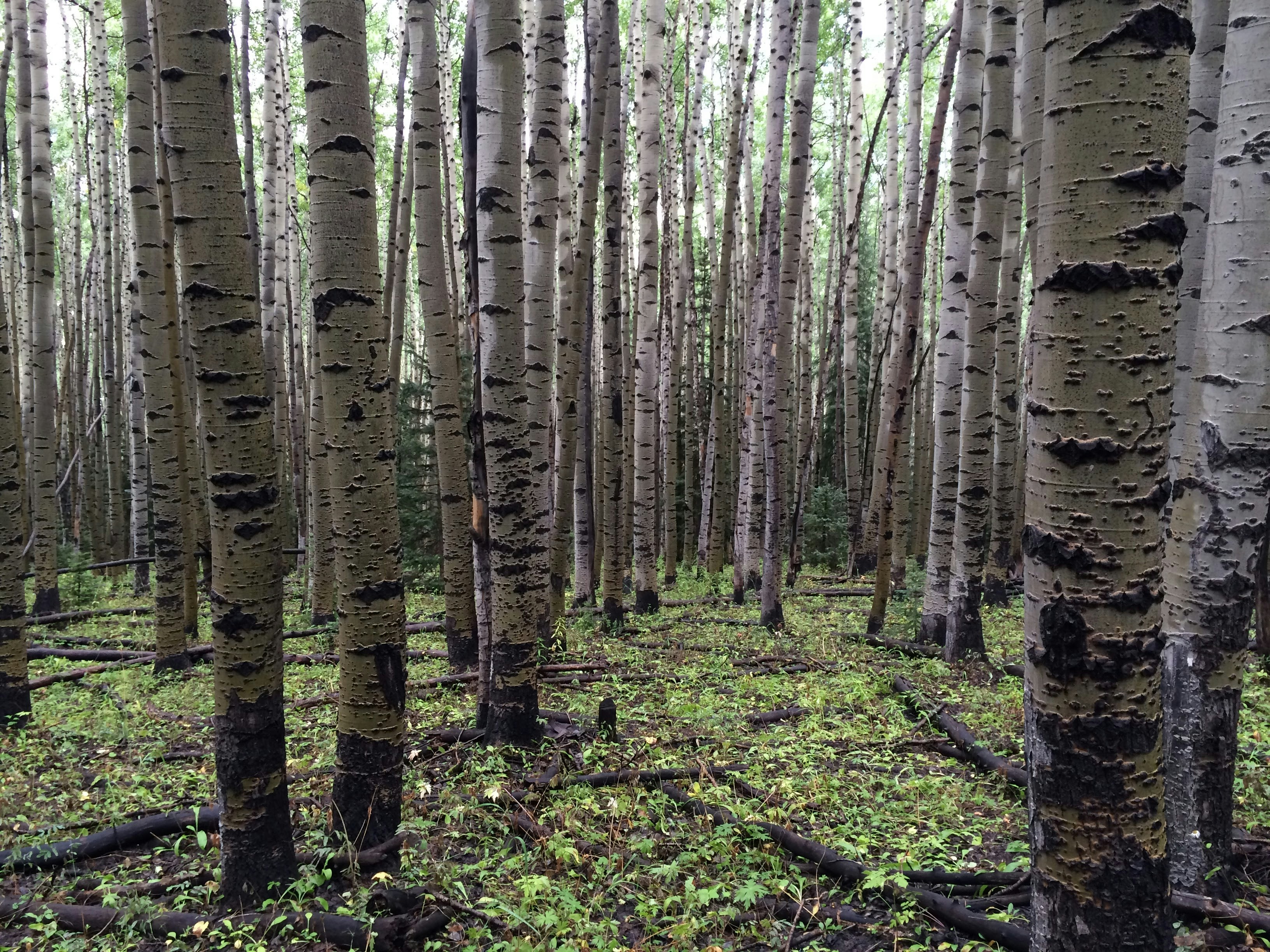 Free Unsplash photo from Jason Cook