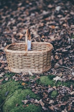 closeup photography of brown wicker basket