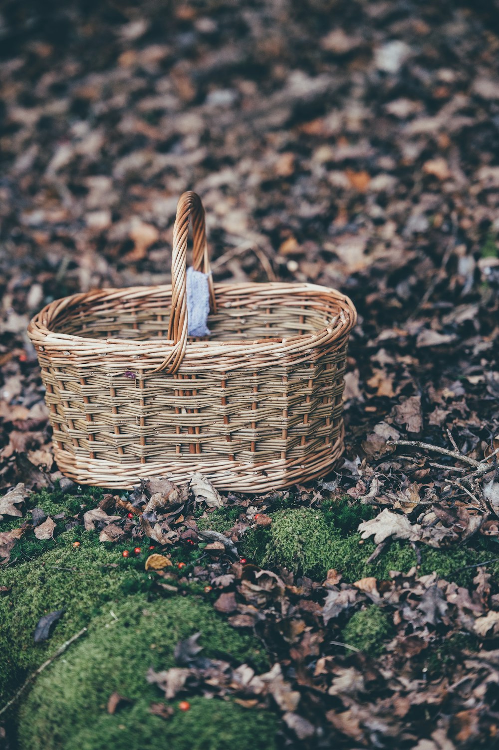 closeup photography of brown wicker basket