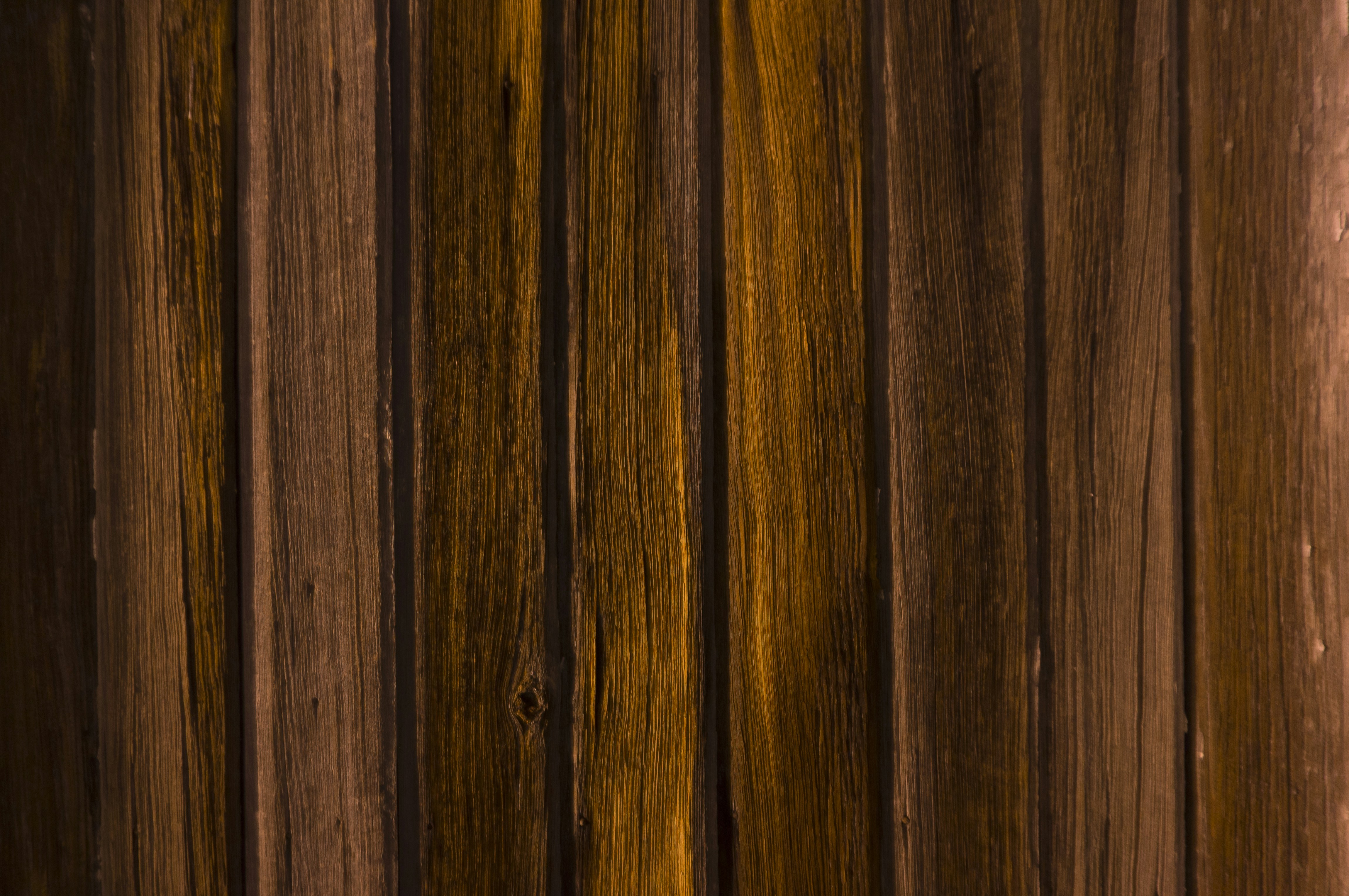 Free Unsplash photo from José Alfredo Caro